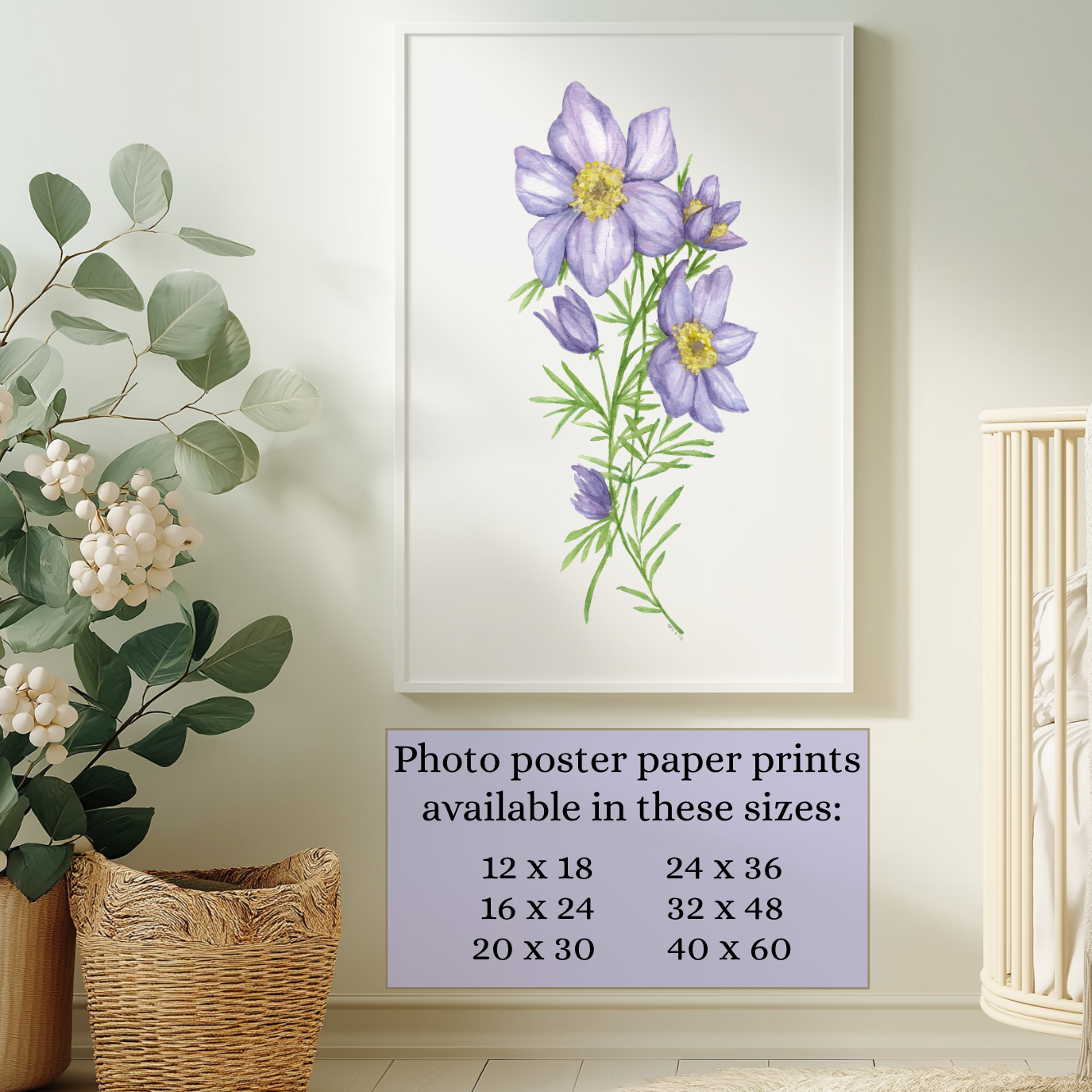 Watercolor Pasque flower comes in these sizes as a poster print: 12X18, 16X24, 20X30, 24X36, 32X48, and 40X60