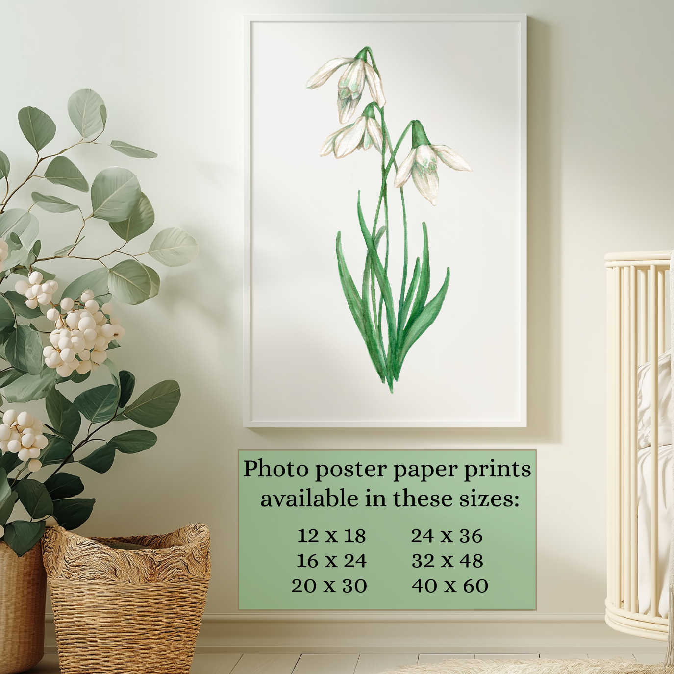 Watercolor Snowdrop painting is available as photo poster print in these sizes (inches): 12X18, 16X24, 20X30, 24X36, 32X48, and 40X60.