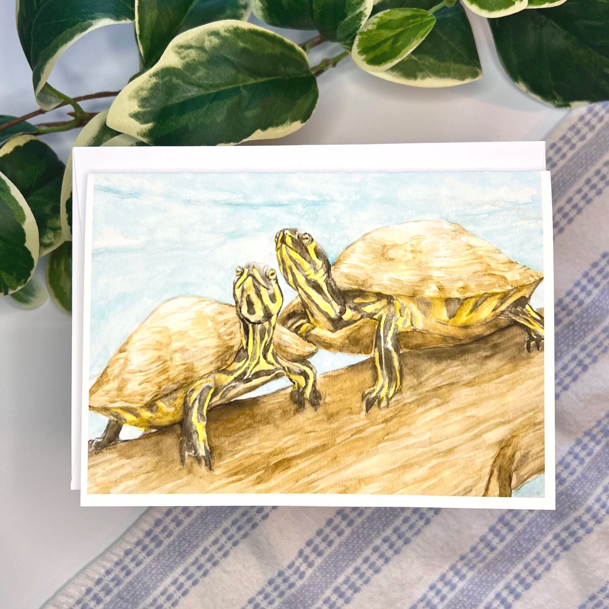 Watercolor Turtles Card