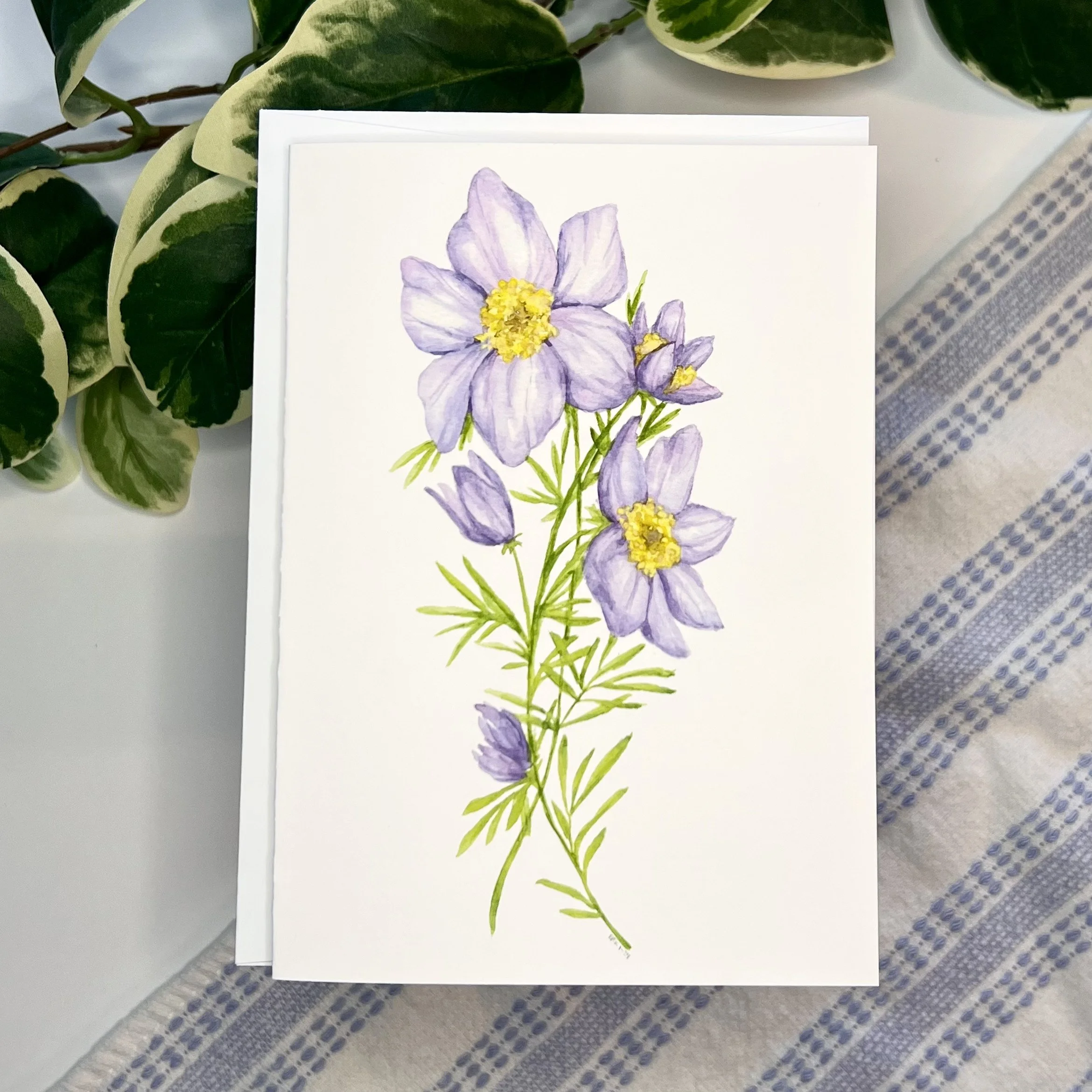 Pasque Flower Card