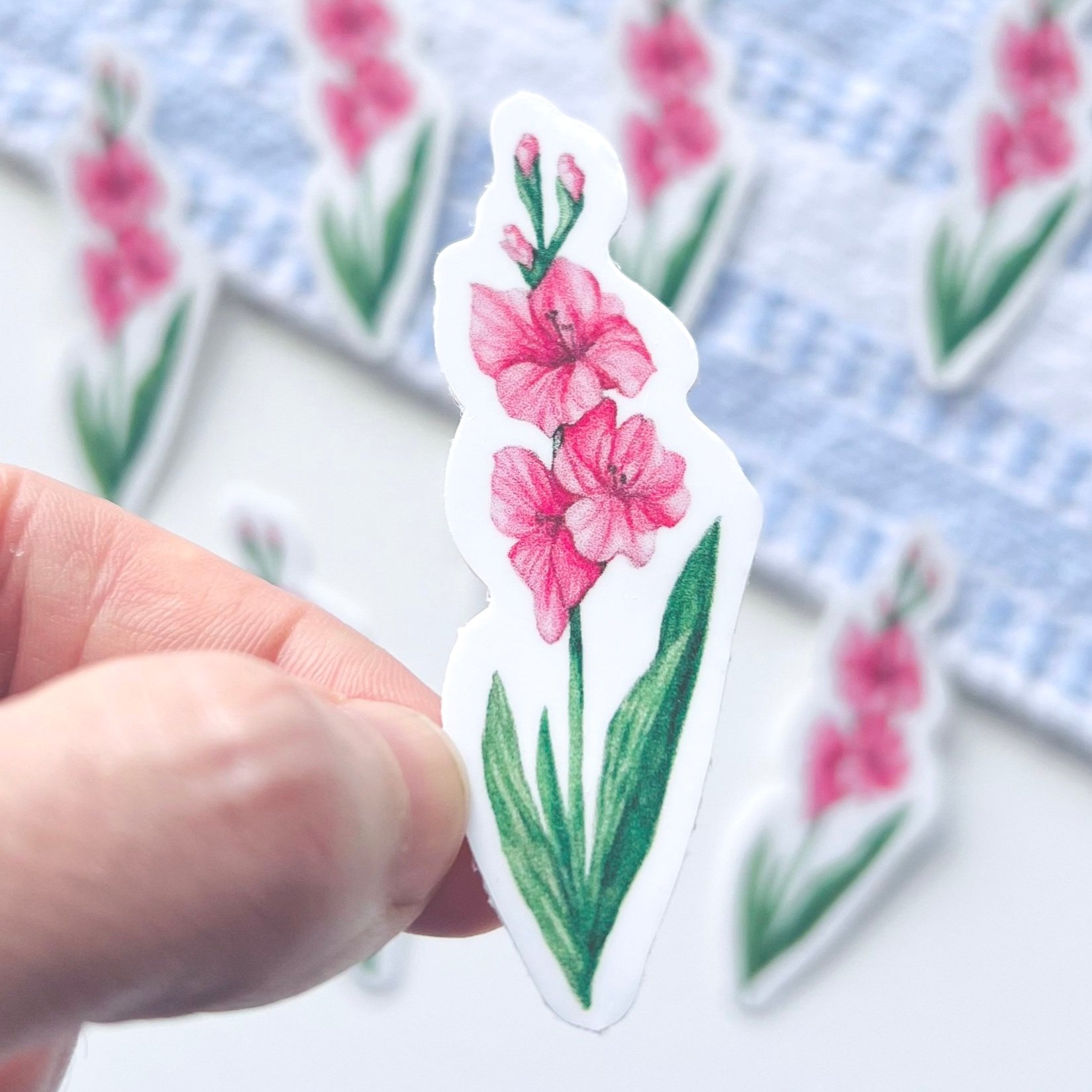 Watercolor Gladiolus flower sticker close up