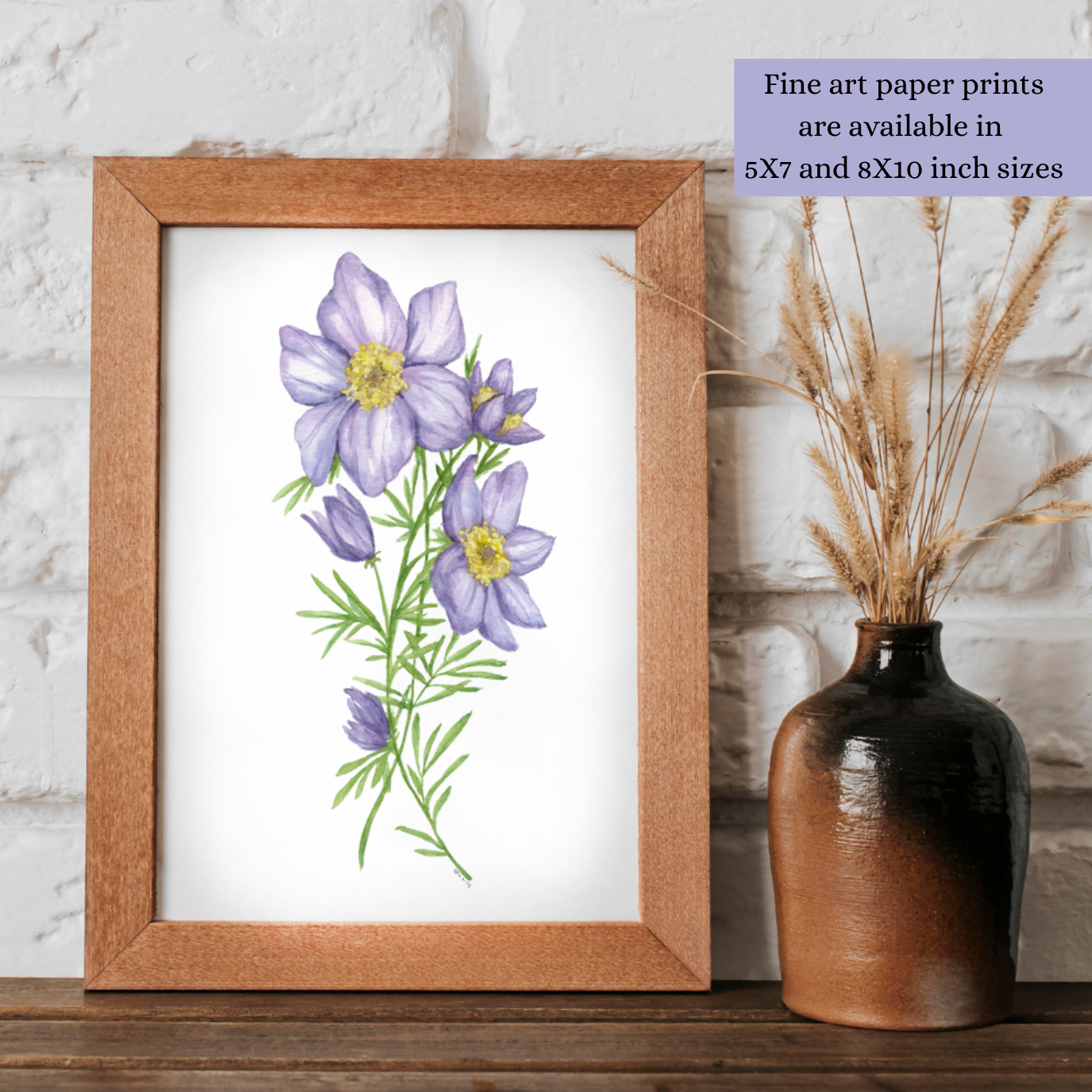 Watercolor Pasque flower comes in these sizes as a fine art print: 5X7 and 8X10 inches