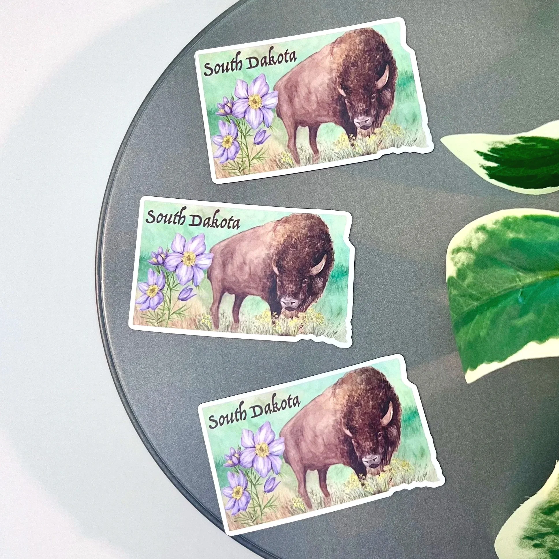 Multiple watercolor Buffalo and Pasque flower magnets