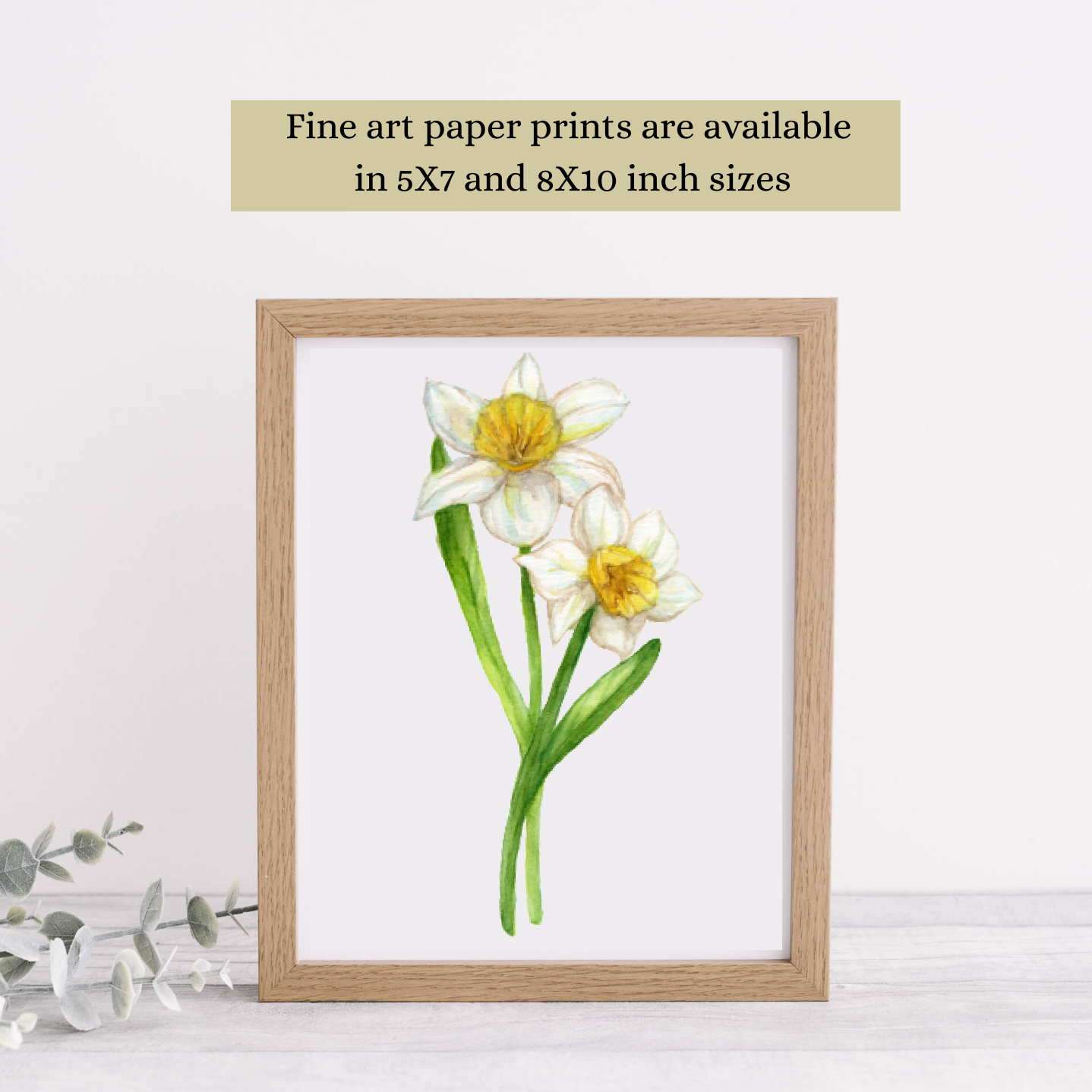 This watercolor Daffodil painting is available in these sizes as a fine art print: 5X7 and 8X10 inches
