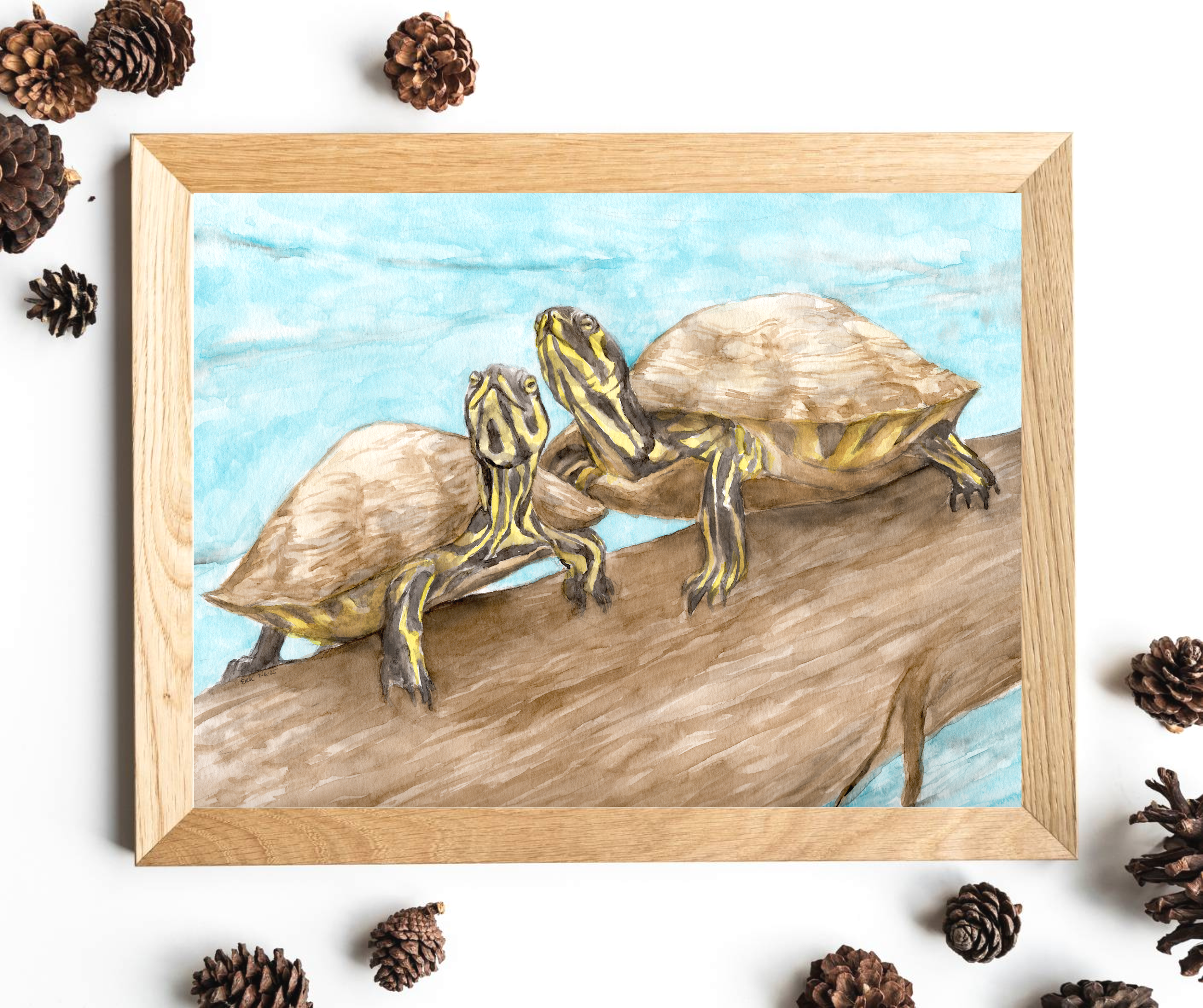 Watercolor Turtles on a log art print