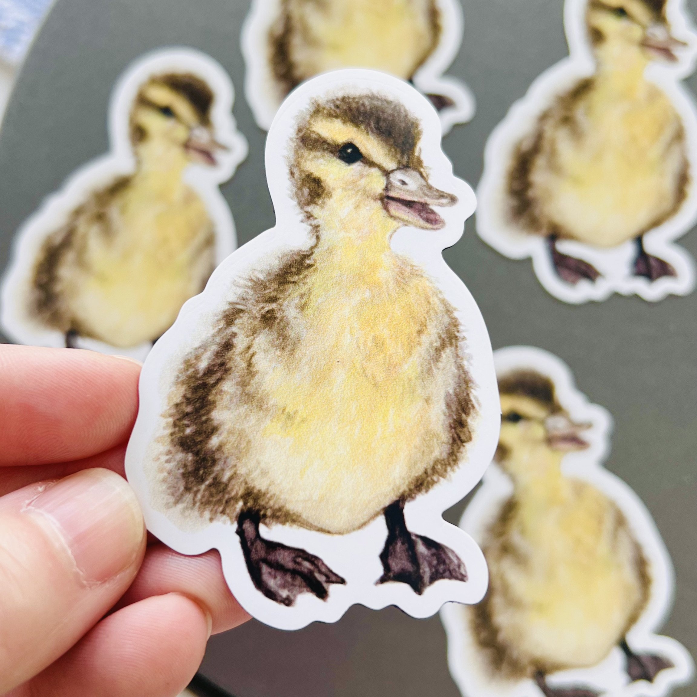 Close up of watercolor Duckling Magnet