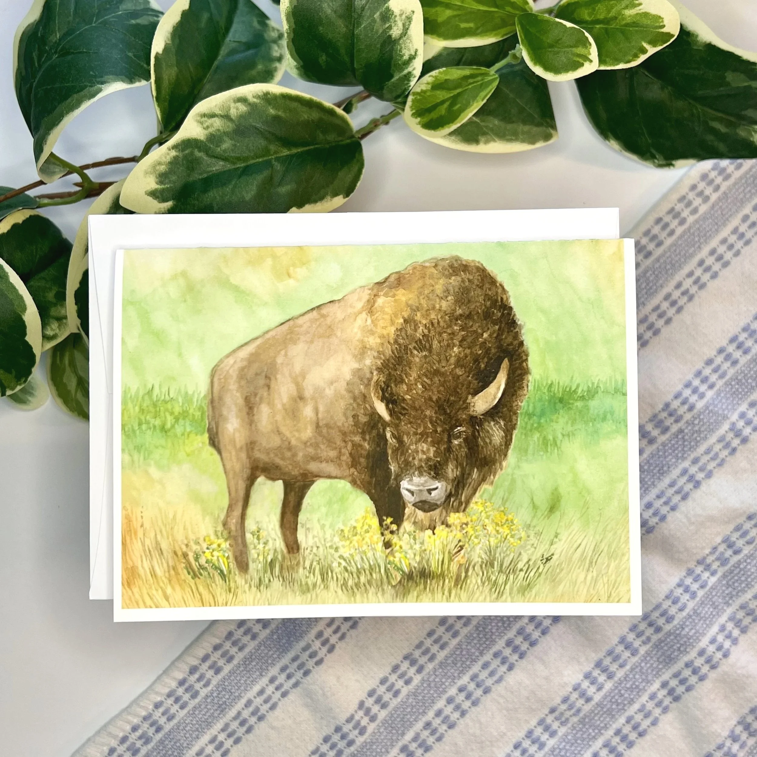 Watercolor Buffalo card
