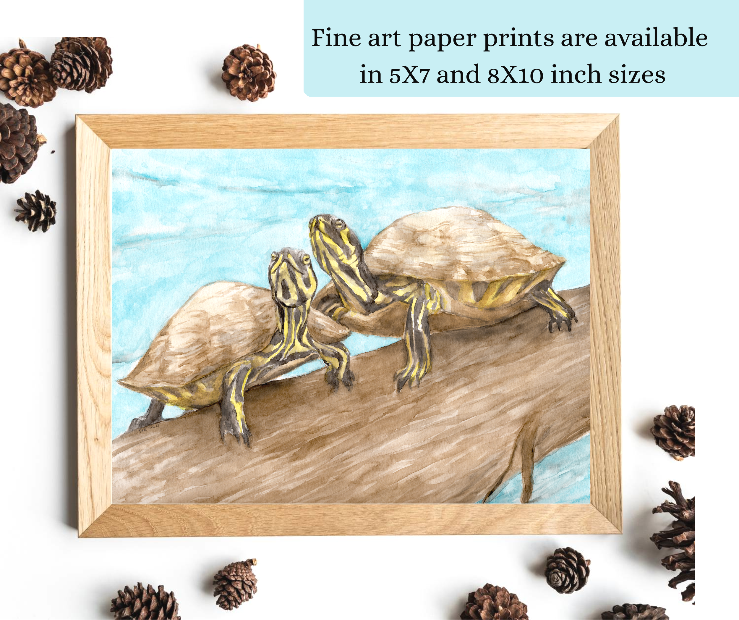 Watercolor turtles art print - available as fine art print in 5X7 and 8X10 inch sizes