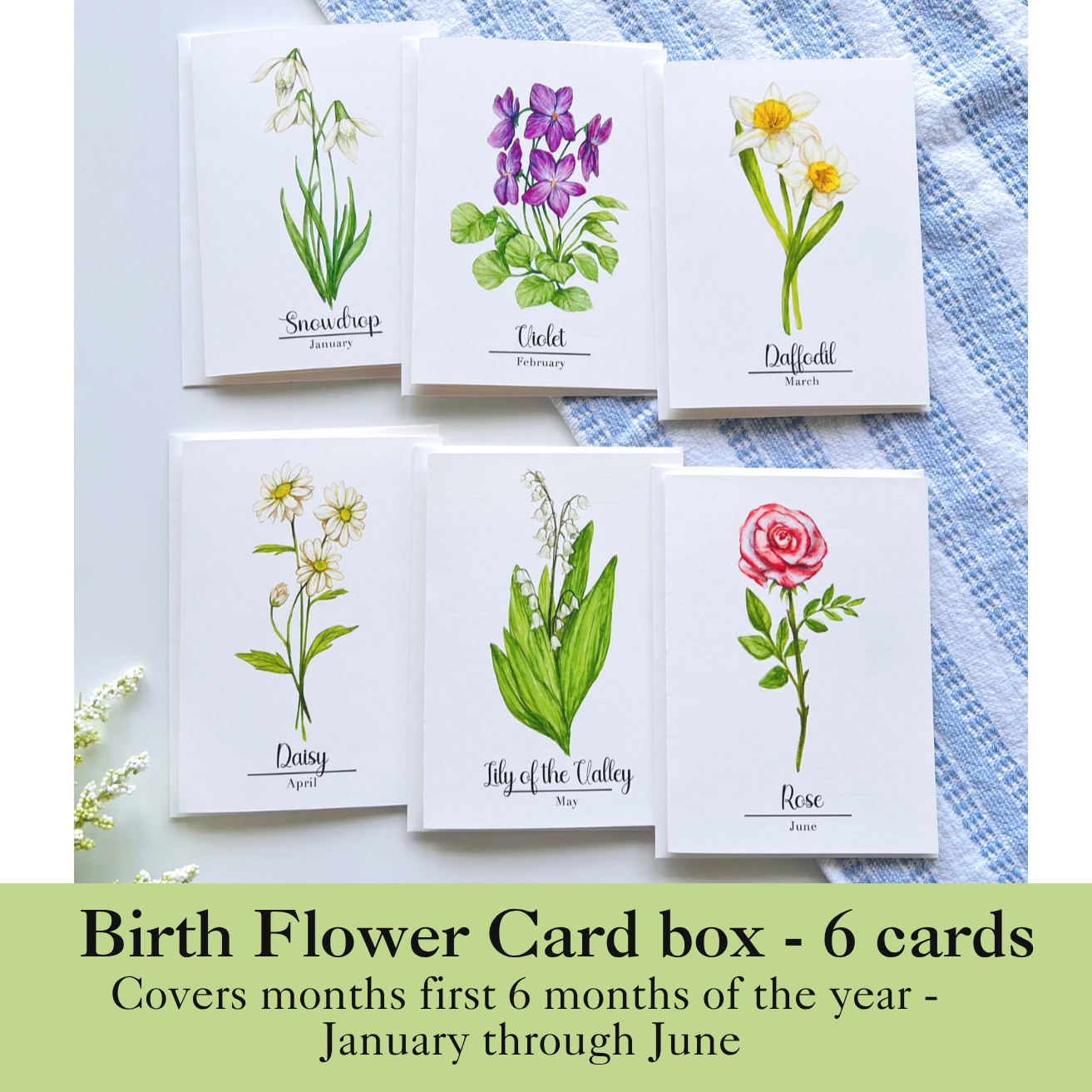 Birth Month Flower Box of 6 cards - January (Snowdrop), February (Violet), March (Daffodil), April (Daisy), May (Lily of the Valley), June (Rose)