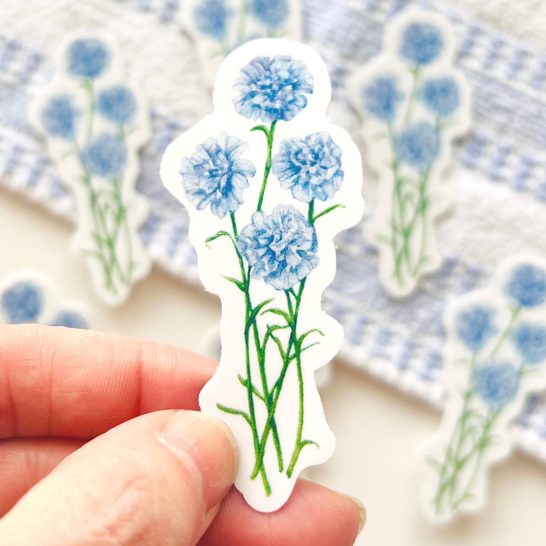 Watercolor blue Carnation sticker close up