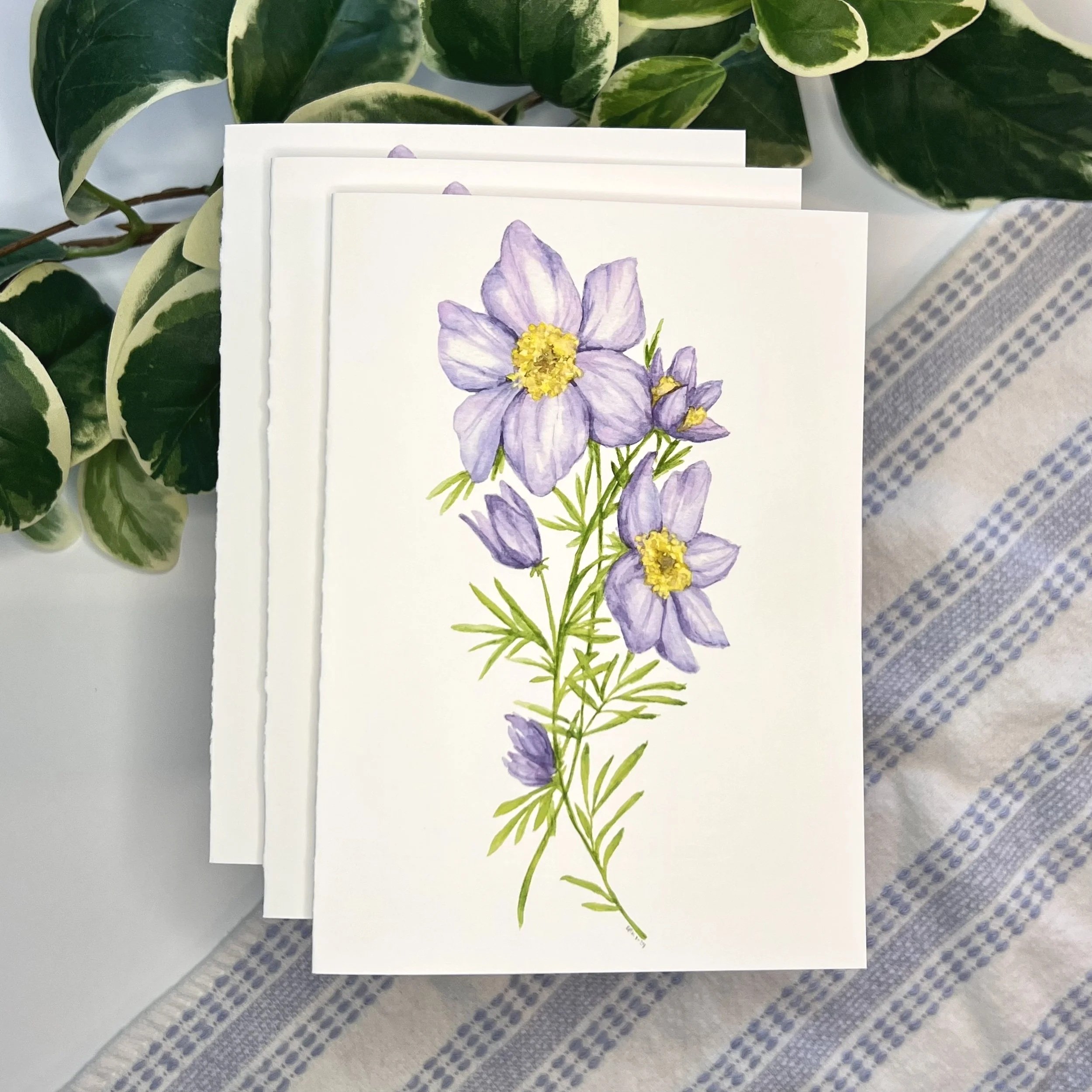 PasqueFlowerCardMulti01.jpg