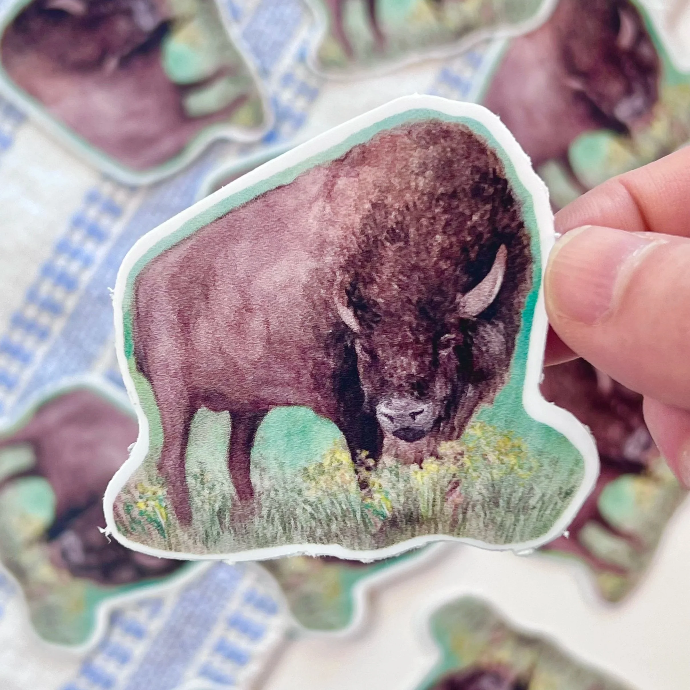 Watercolor Buffalo sticker