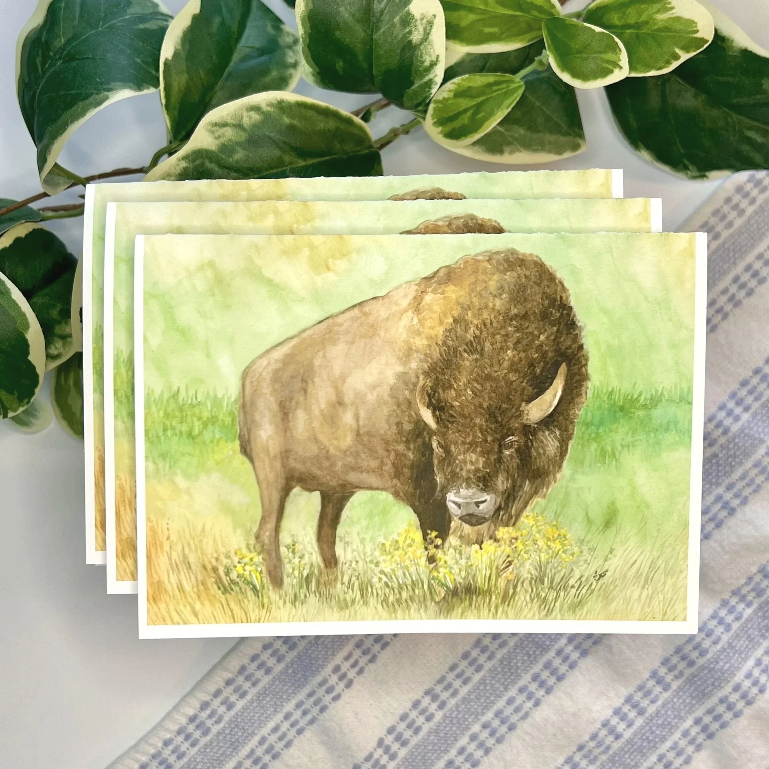 Multiple blank greeting cards featuring a watercolor painting of a proud buffalo grazing in a flowery field.