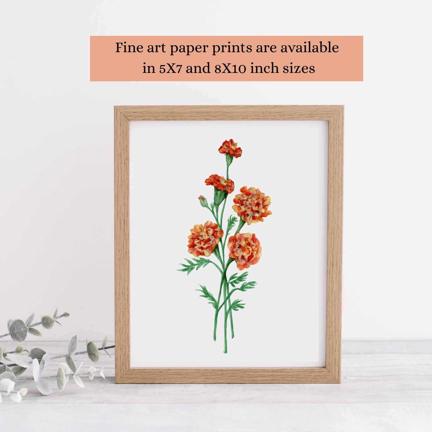 Watercolor Marigold painting available in these sizes as a fine art print: 5X7 and 8X10 inches