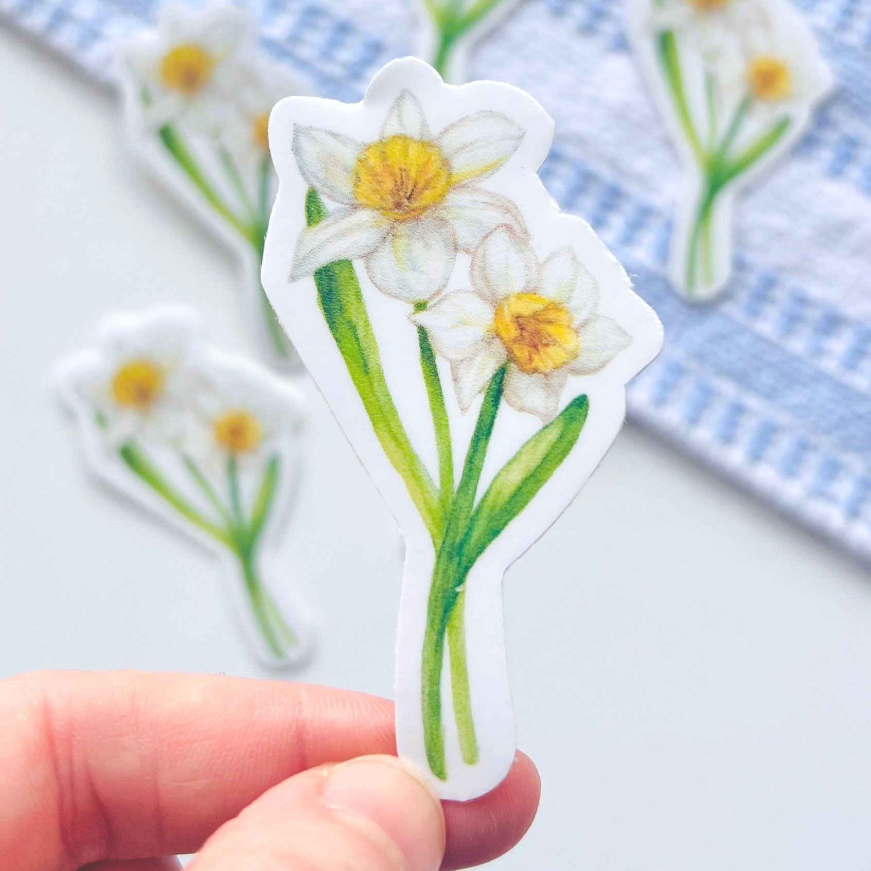 Watercolor Daffodil sticker close up