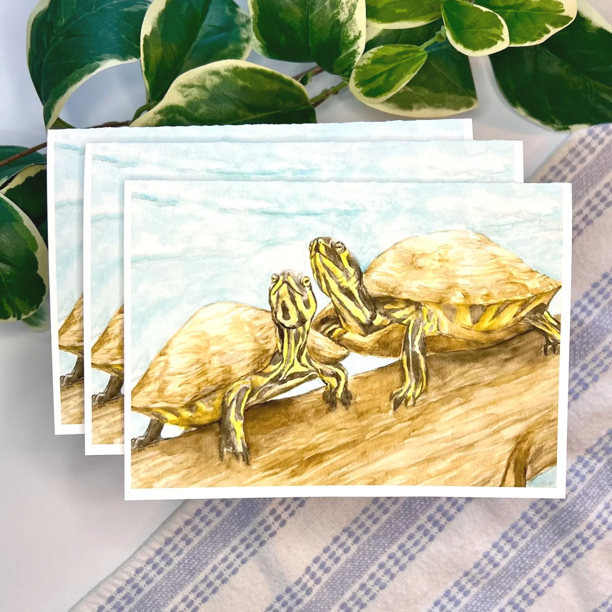 Multiple watercolor cards of two turtles sunbathing on a summer log