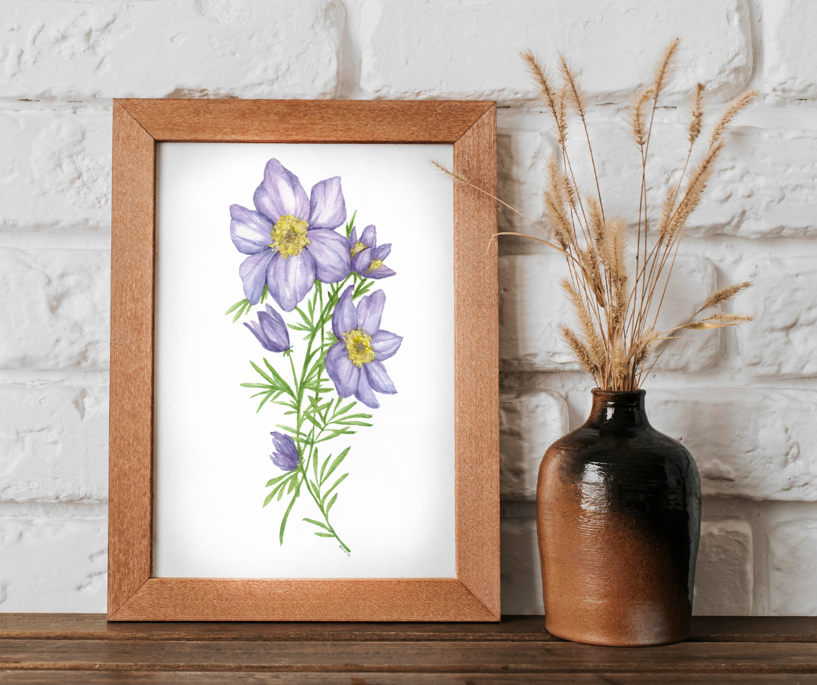 Watercolor Purple Pasque Flower art print and poster print