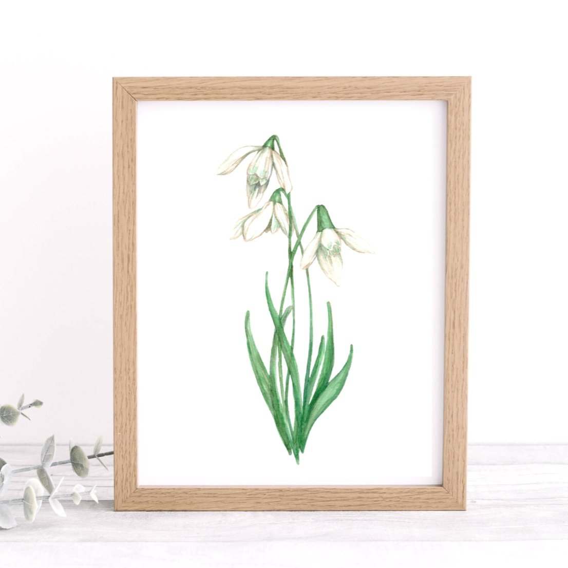 Watercolor Snow Drop Flower art print