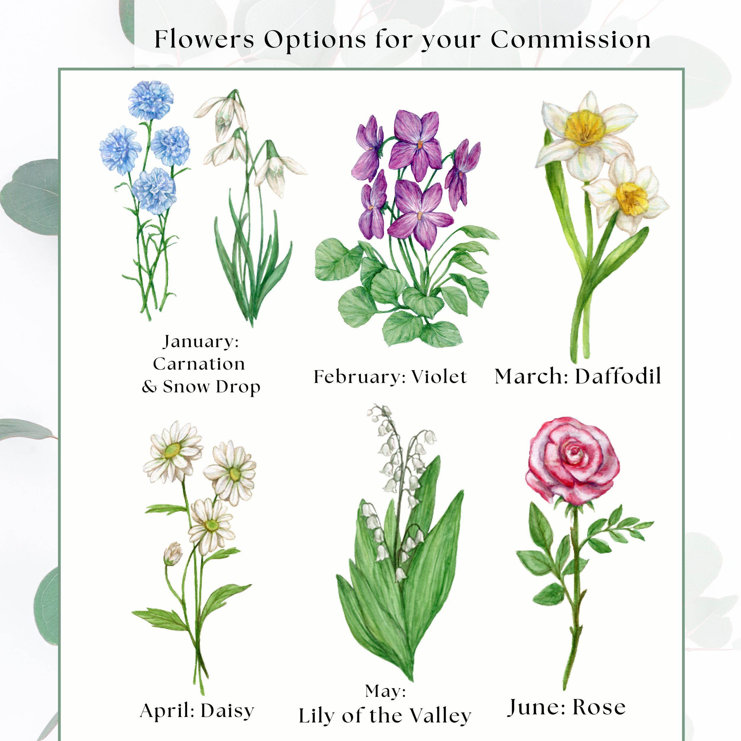 Samples of the Watercolor Flowers we offer for you to choose in your Commission - months January through June