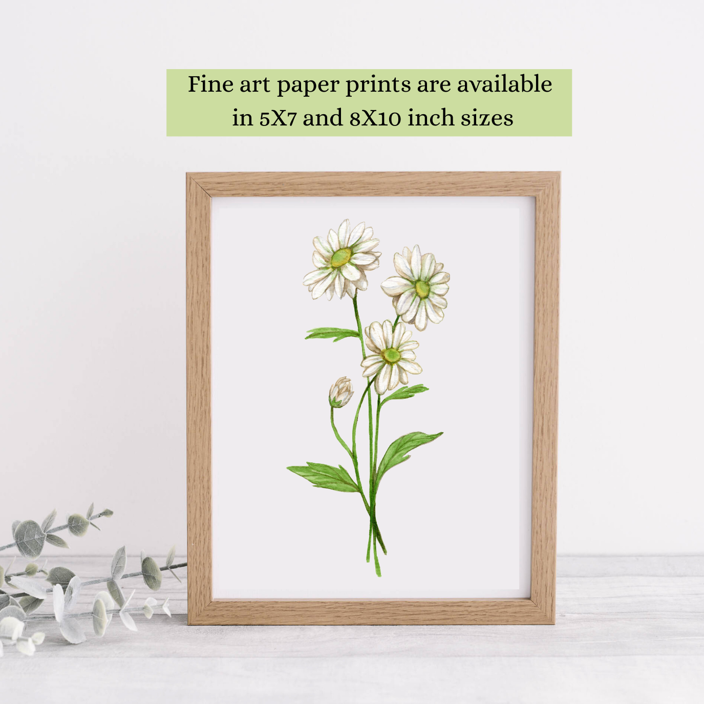 This watercolor Daisy painting is available as a fine art print in these sizes: 5X7 and 8X10 inches