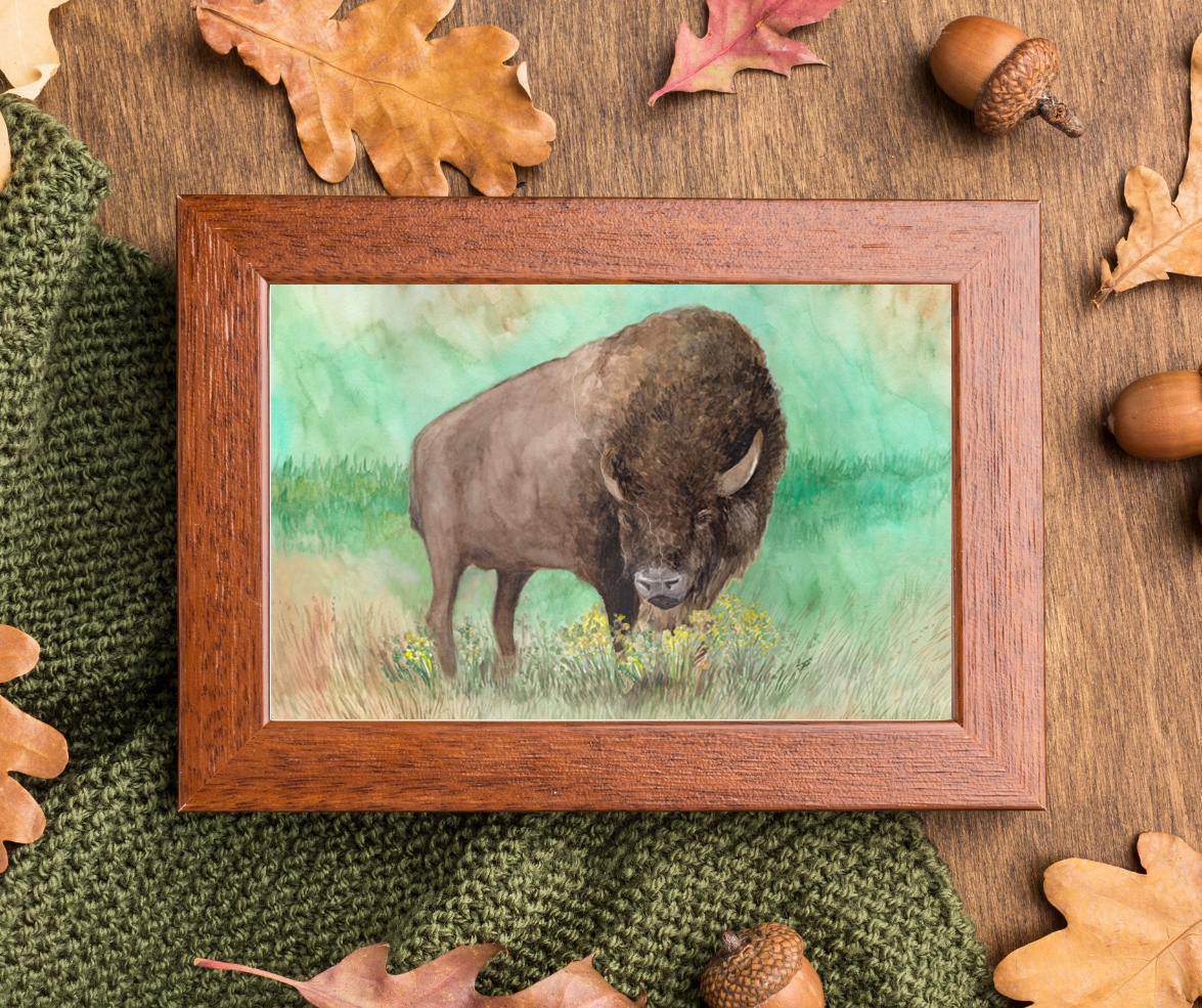 Depiction of the Buffalo art print in a thicker frame (does not come with a frame)