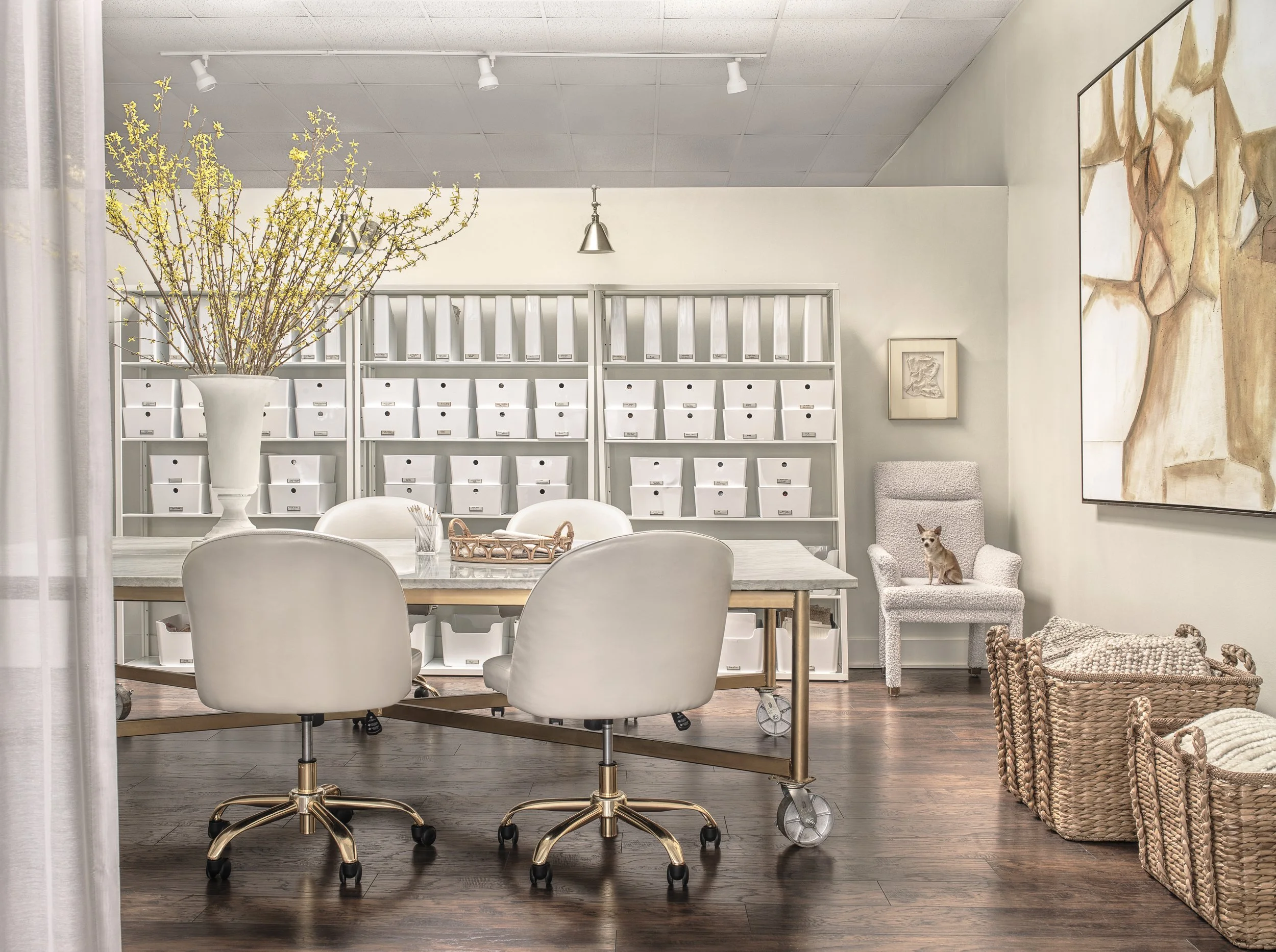 Studio 1 - Jessie D Miller Portfolio .jpg