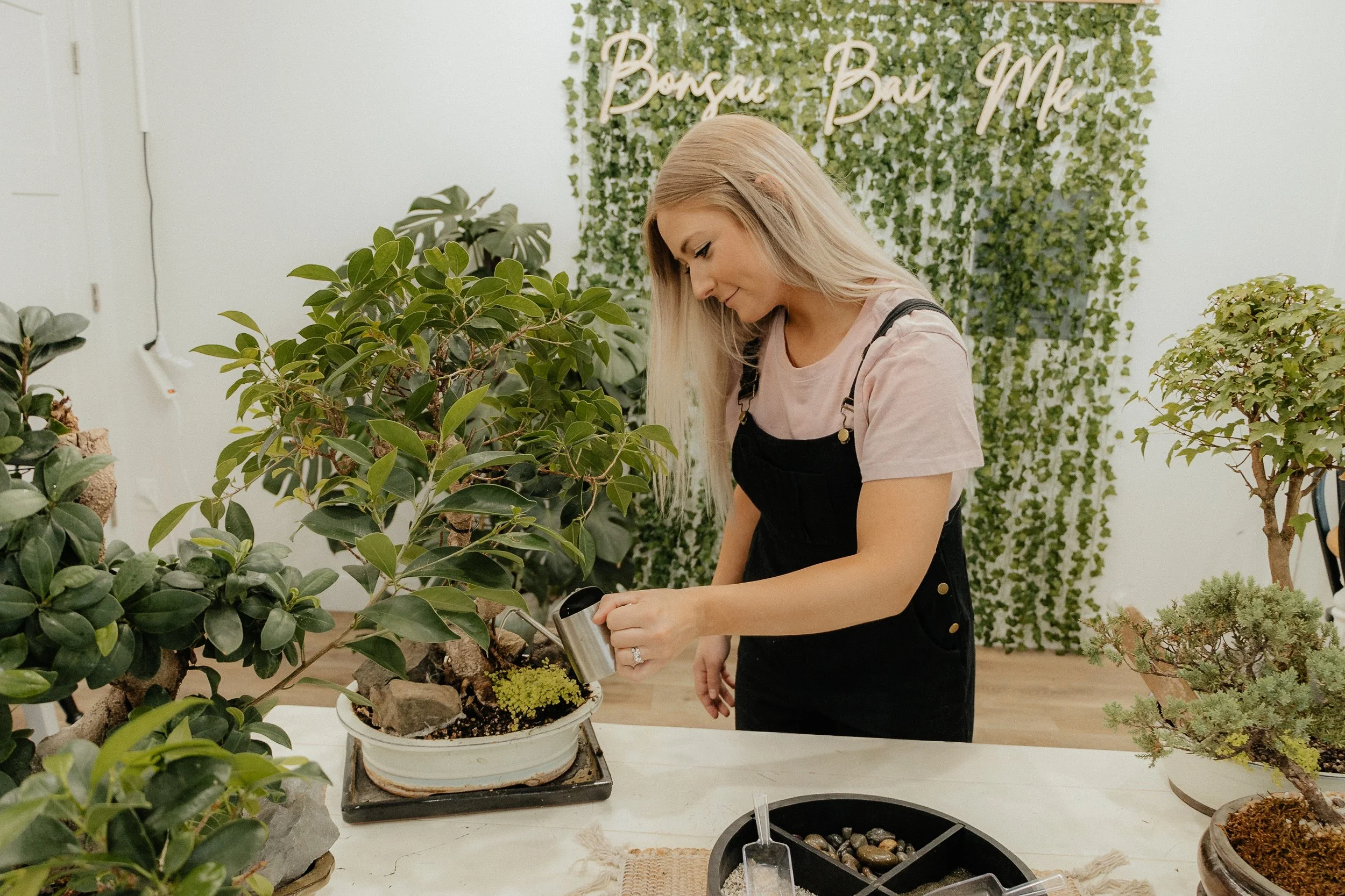 Photos — Bonsai Bai Me