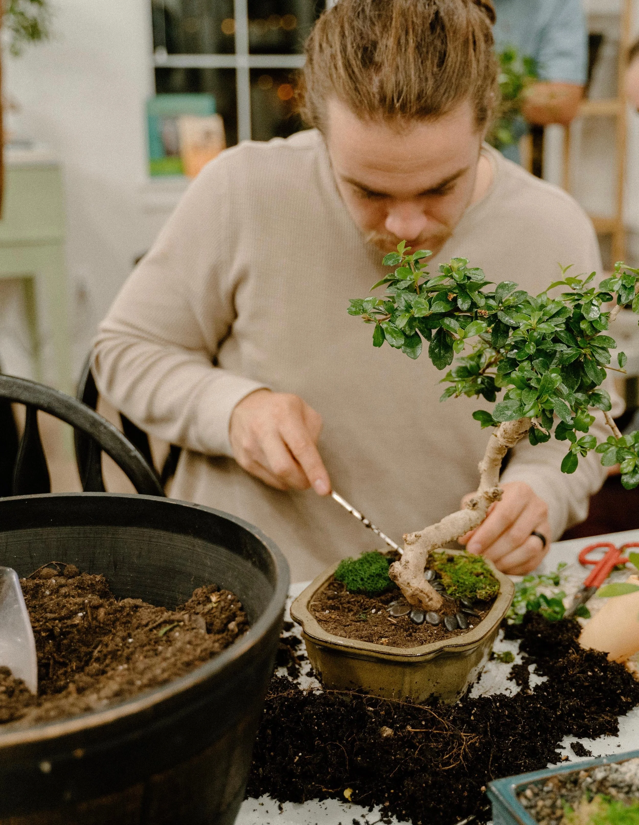 General 2 — Bonsai Bai Me