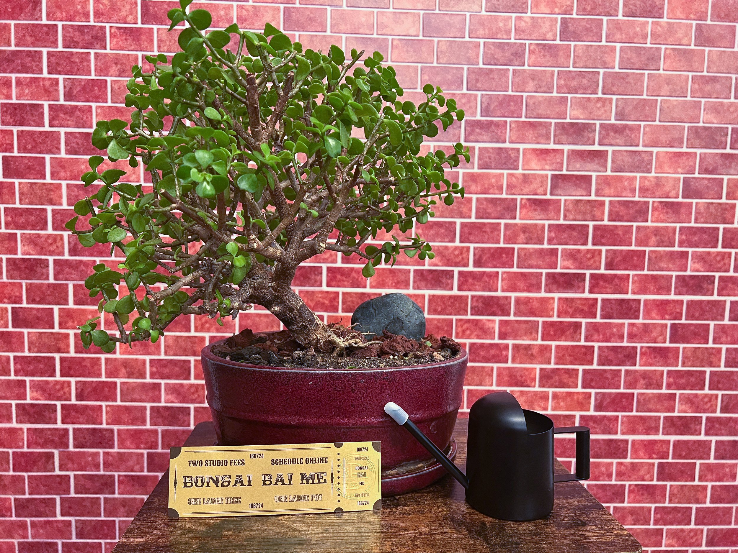 bonsai orange Artificial Bonsai】Mikan main image 0