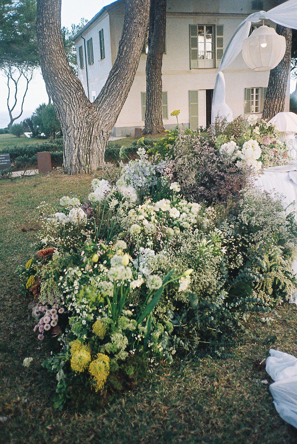 HELEN RUSSELL PHOTOGRAPHY -25.jpg