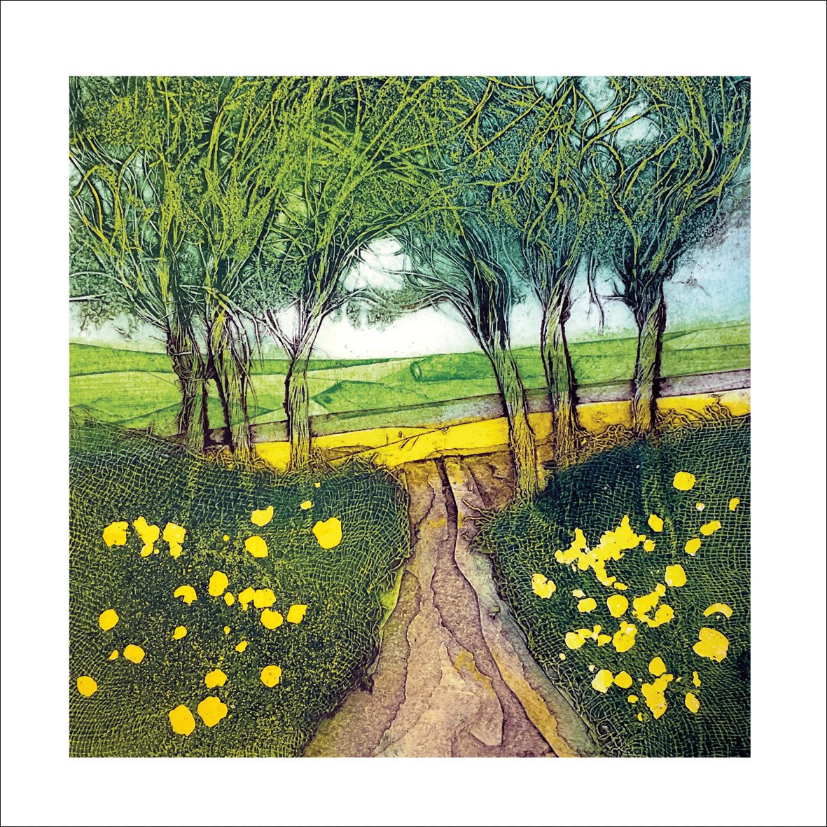 Buttercups.jpg