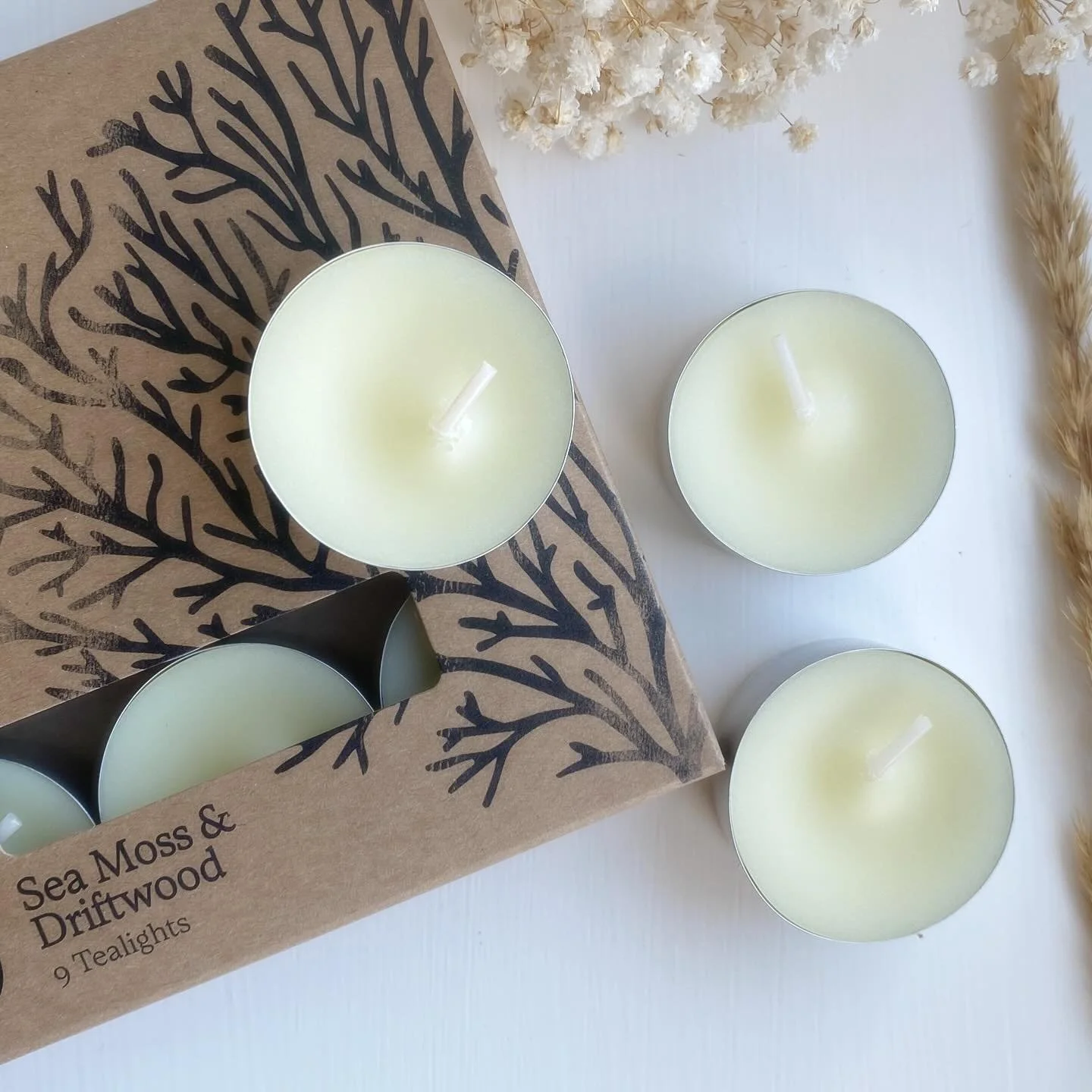 Experience the essence of the ocean with St Eval's Sea Moss and driftwood candles, created with a commitment to sustainability as a B Corp Certified company.

&bull;Top notes: Rain water, Citrus, Salt, Fresh
&bull;Heart notes: Moss
&bull;Base notes: 