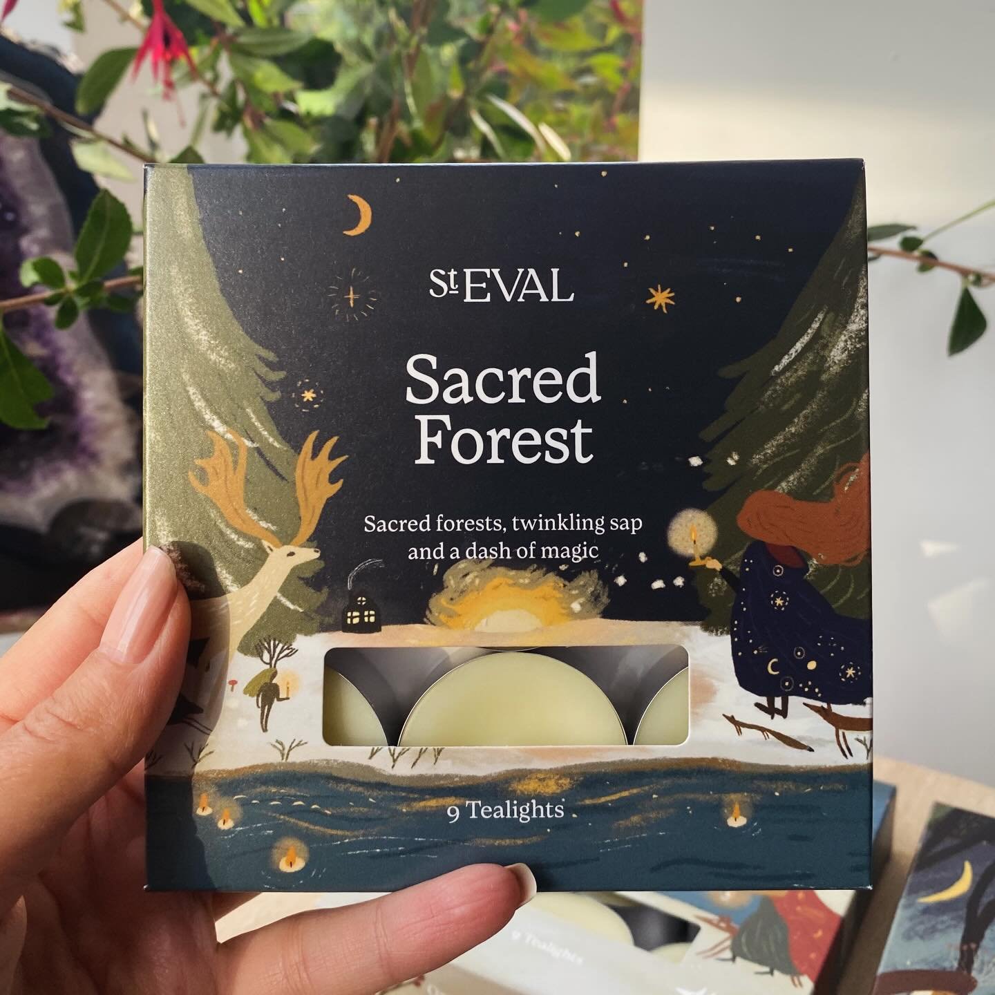 ✨ Fill your home with warmth, wonder, and winter&rsquo;s quiet magic ✨

🎄Discover the beauty of Sacred Forest scented candles by St. Eval Candle Company&mdash;crafted to bring serenity and seasonal charm into every corner of your home.

✨A little re
