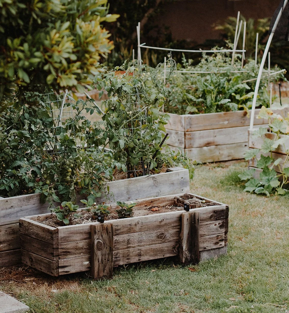Gardening Accessories