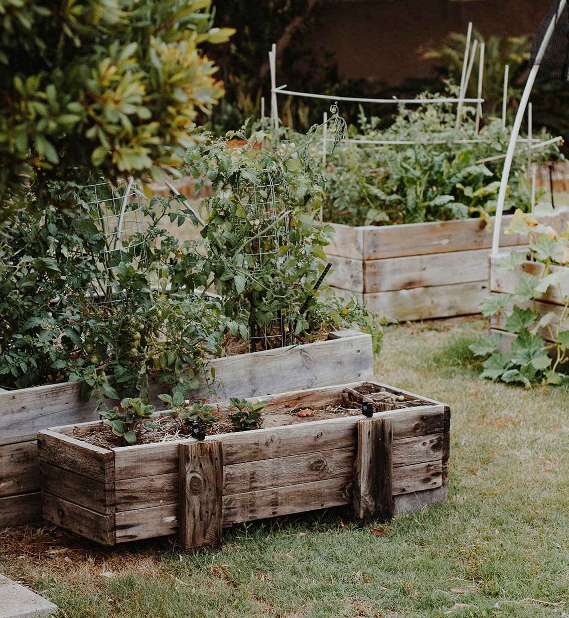 Gardening Image.edit.s.jpg