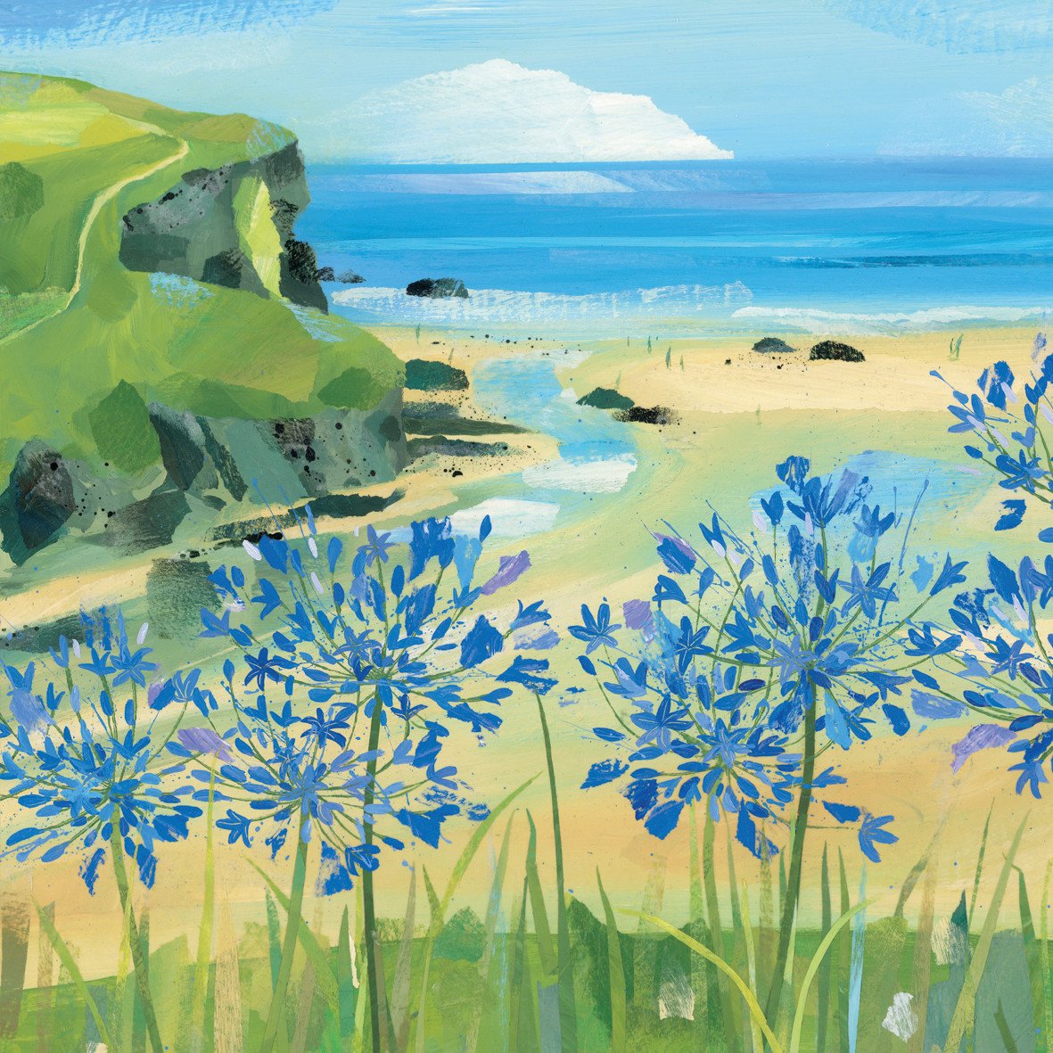 Agapanthus at Mawgan Porth.jpg