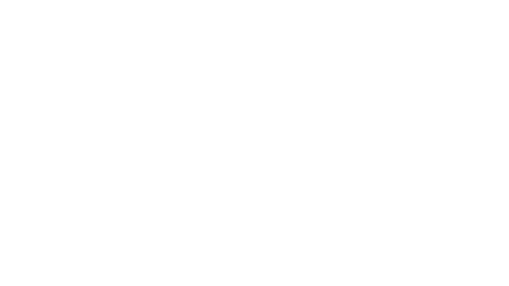 Stone Cellar Bistro