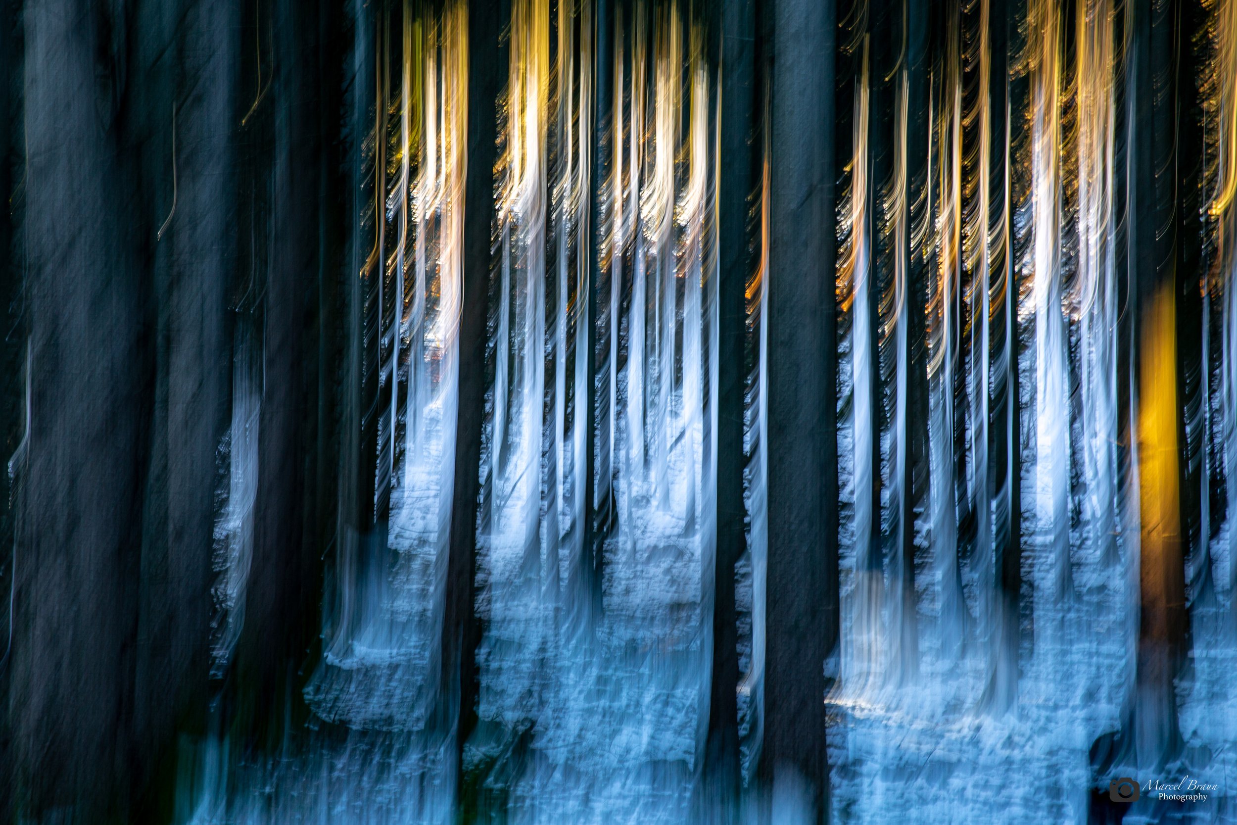 Winterwald I Canon EOS 5 D Mark III I Canon EF 24-70mm f/2,8L II USM