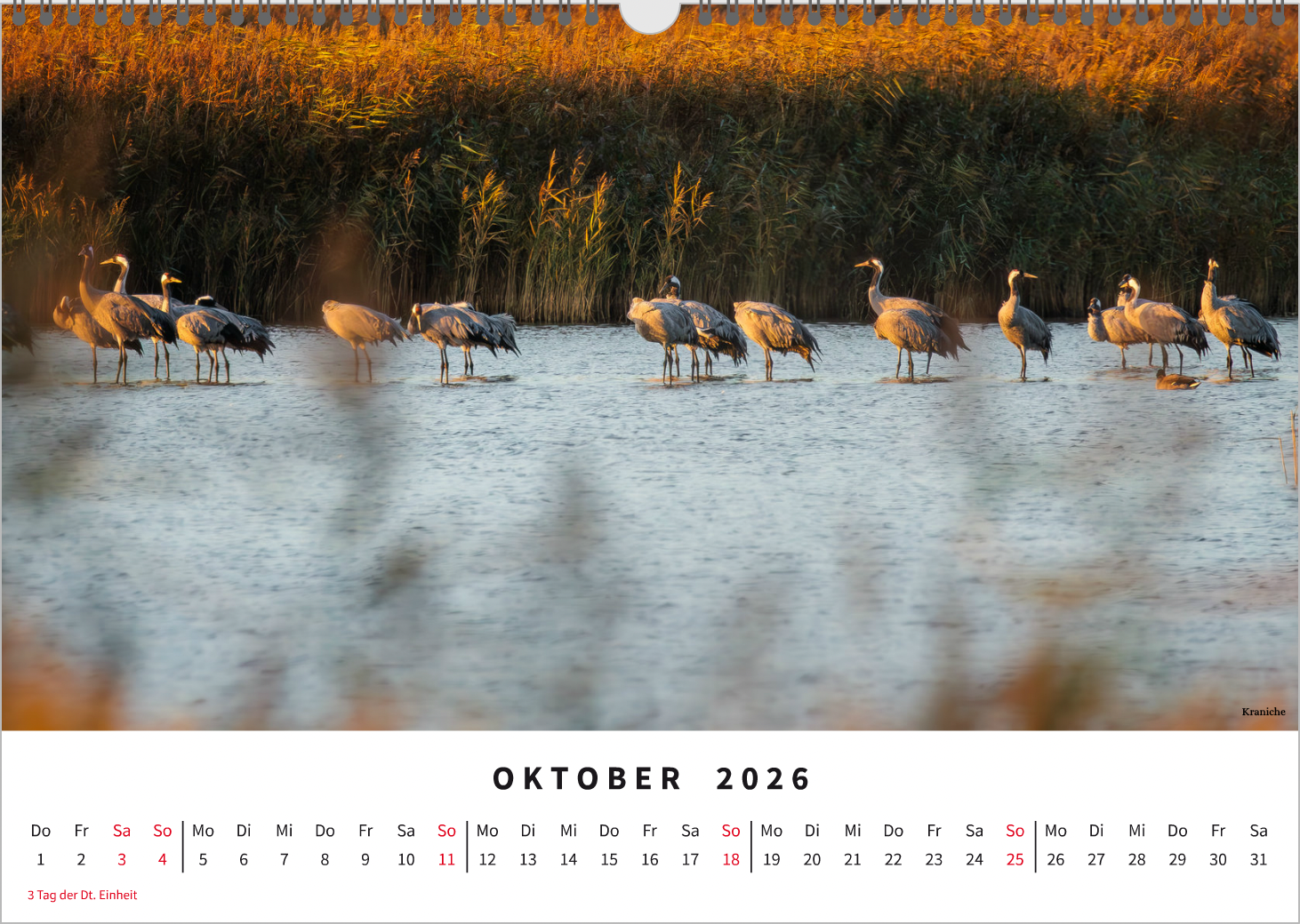 Bildschirmfoto 2025-09-04 um 18.56.54.png