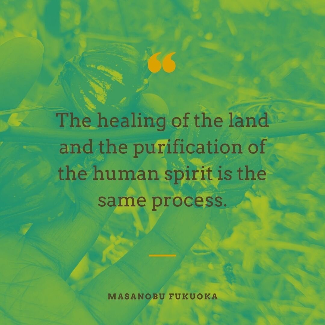 Does anyone else feel better after being out in the garden? That's the oneness with nature that Masanobu Fukuoka talked about. He believed that &quot;the healing of the land and the purification of the human spirit is the same process.&quot;

#FreshF