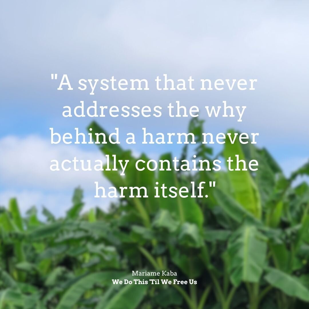 In her book &quot;We Do This 'Til We Free Us,&quot; Mariame Kaba said, &quot;A system that never addresses the why behind a harm never actually contains the harm itself.&quot; Our current systems are set up to side step the &quot;why&quot; behind soc