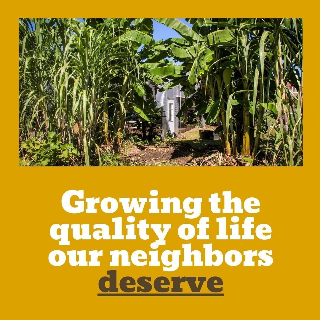 At Fresh Future Farm, we believe that everyone has a right to their basic needs. That's why we grow the quality of life our neighbors DESERVE

#FreshFutureFarm #FoodJustice