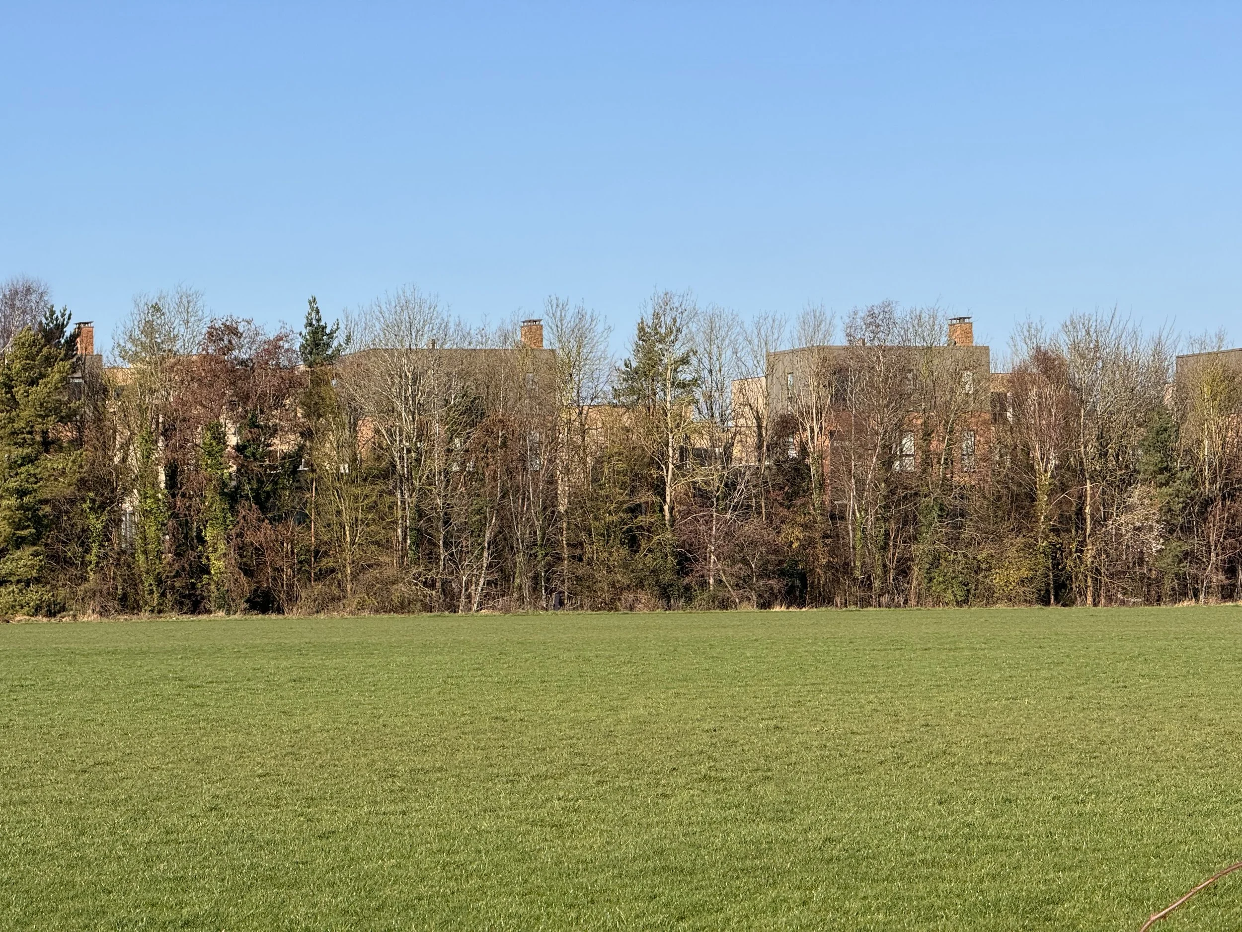 Biodiversity Net Gain