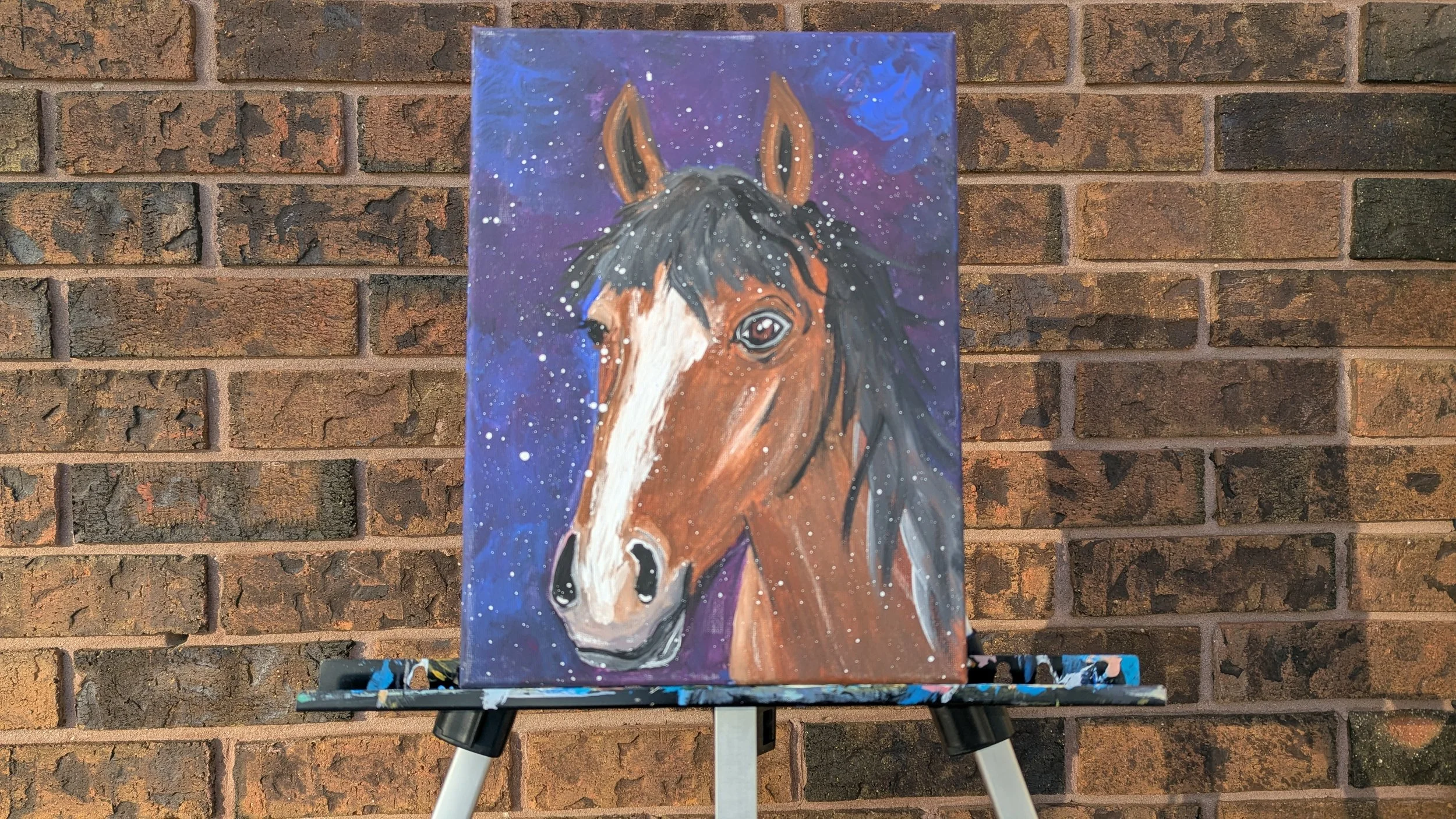 PXL_20260217_211730985 (1).jpg