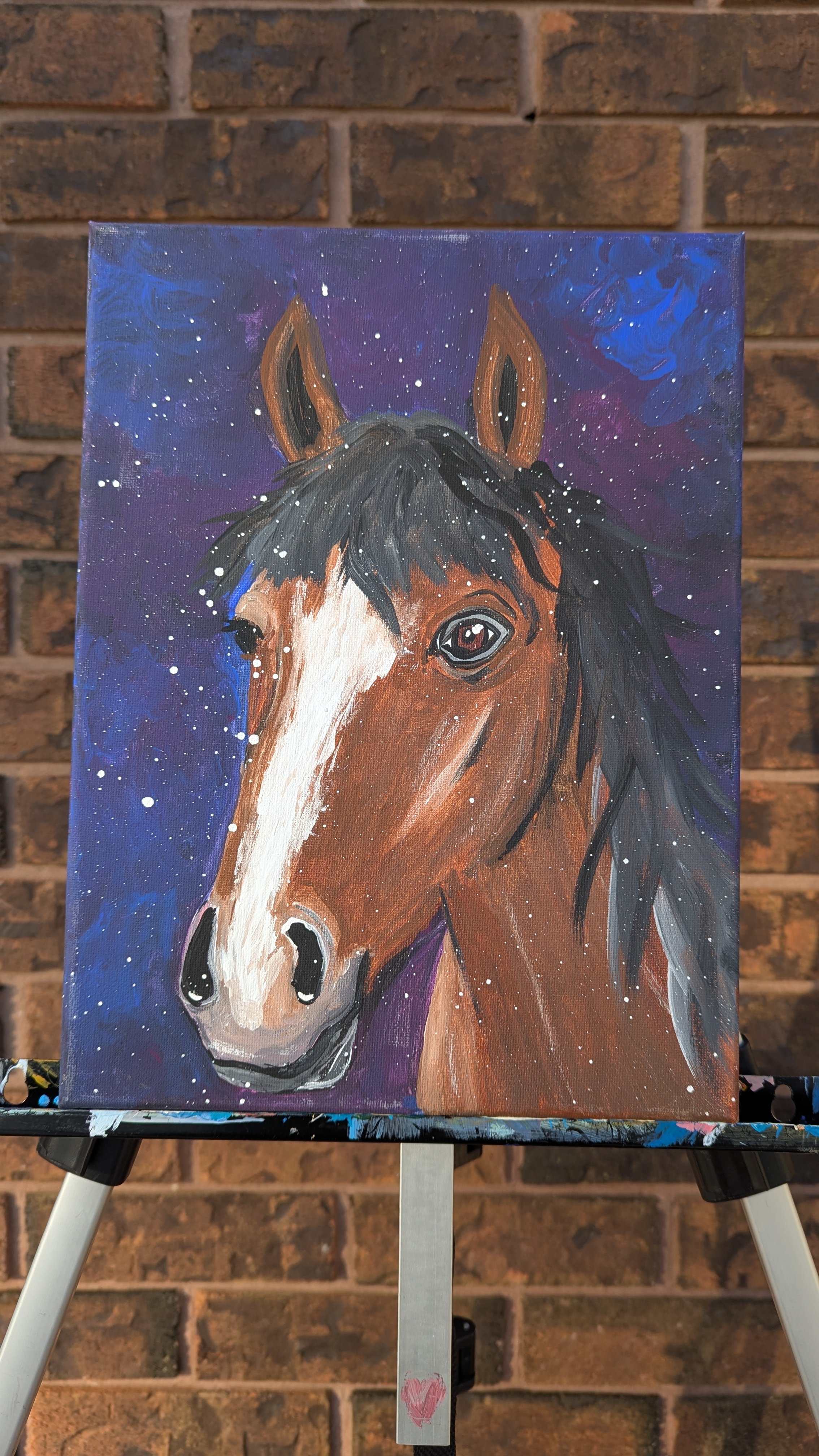 PXL_20260217_211726718.MP (1).jpg