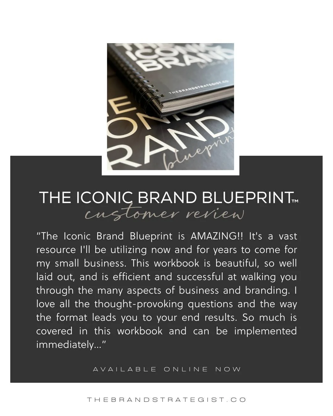 The Iconic Brand Blueprint&reg; was created to walk you through the real work of building a business and brand, from vision to execution, with questions that challenge your thinking and structure that leads to real results.

This isn&rsquo;t somethin