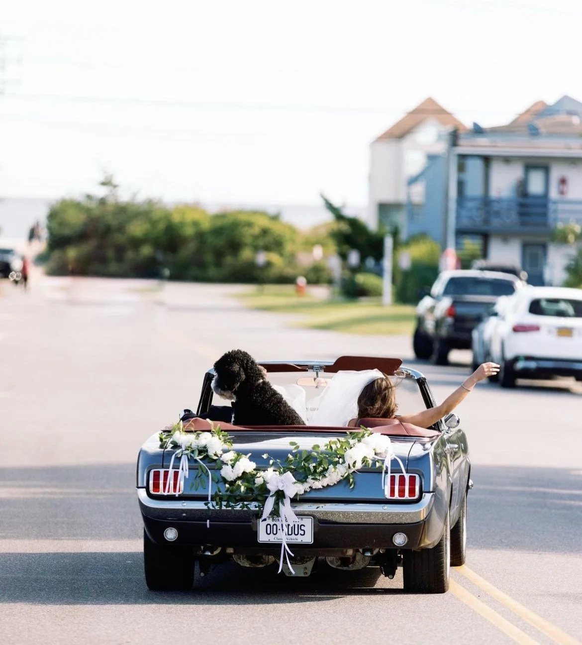 IMG_2908 - Copy.JPEG