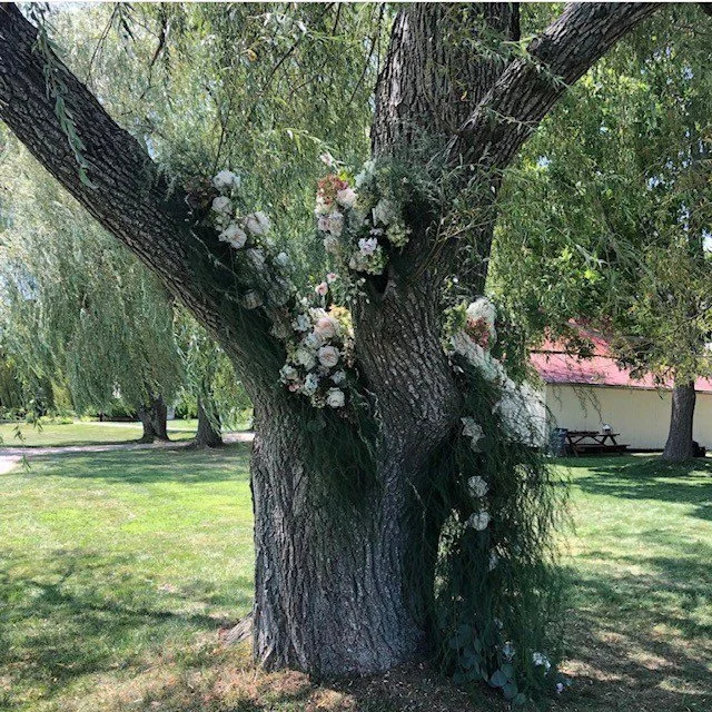 Tree arrangement.jpg