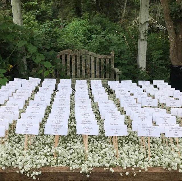 Babys breath seating assignment board.jpg