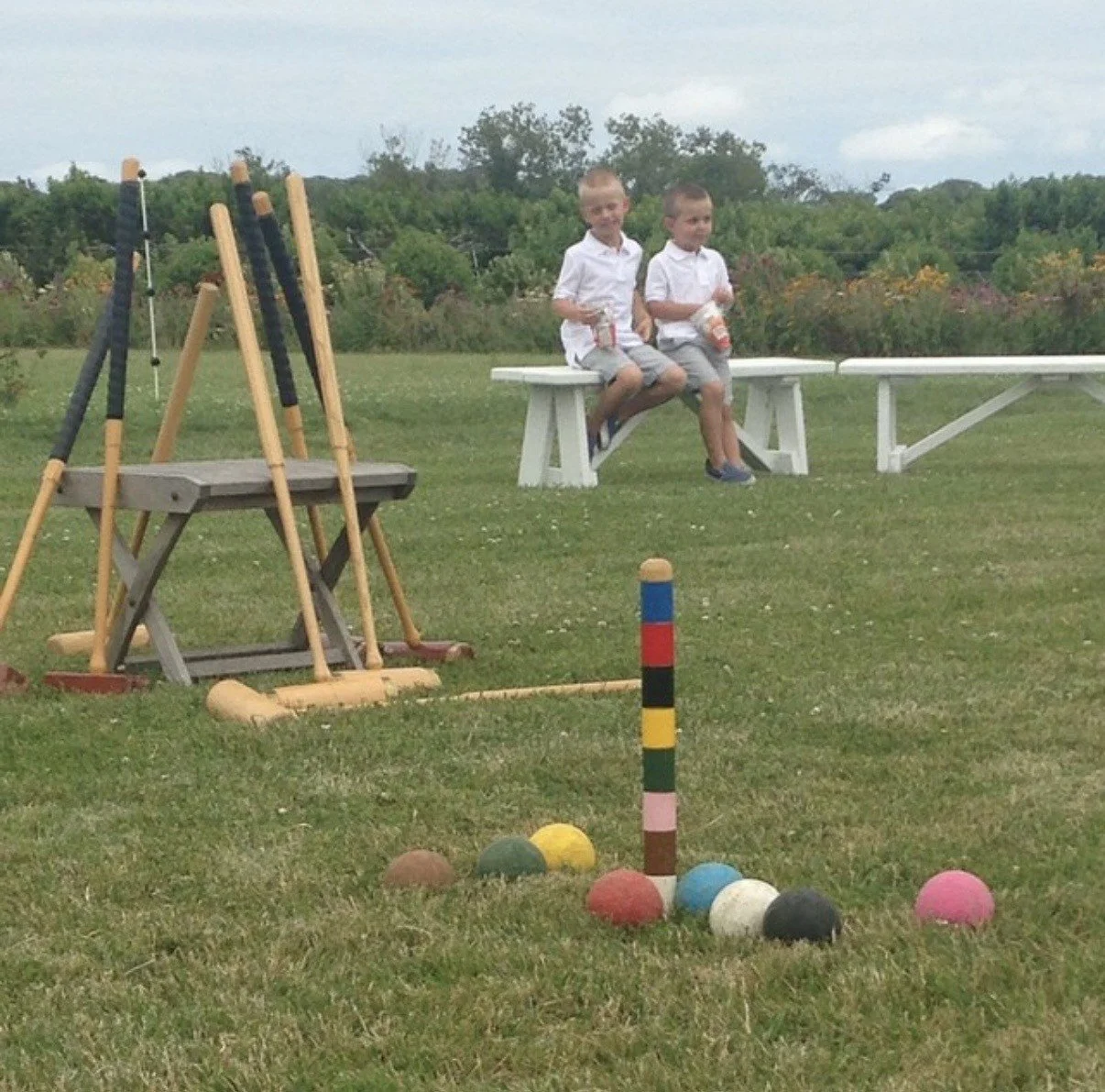 Croquet on the lawn.jpg